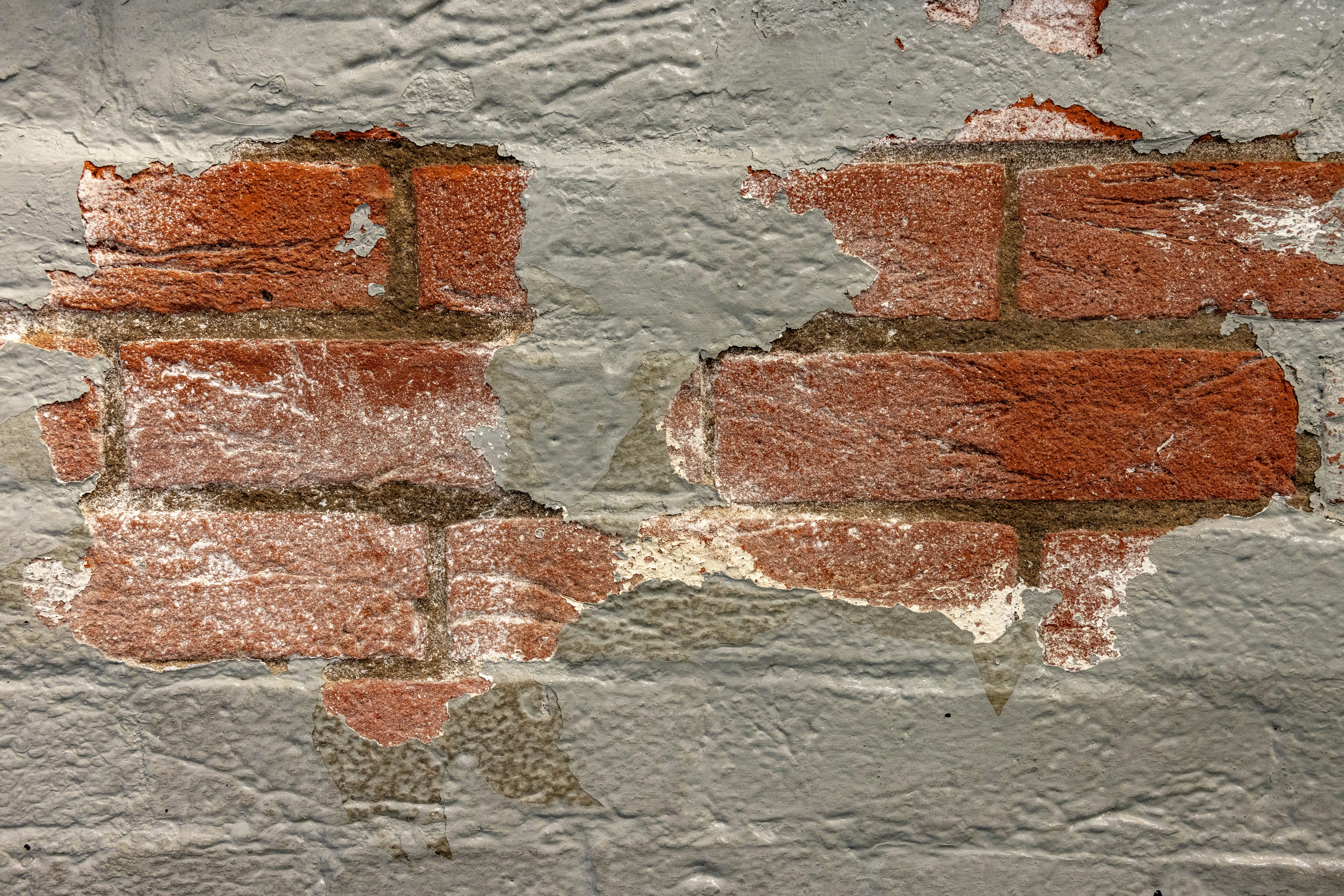 Photo by rocinante_11