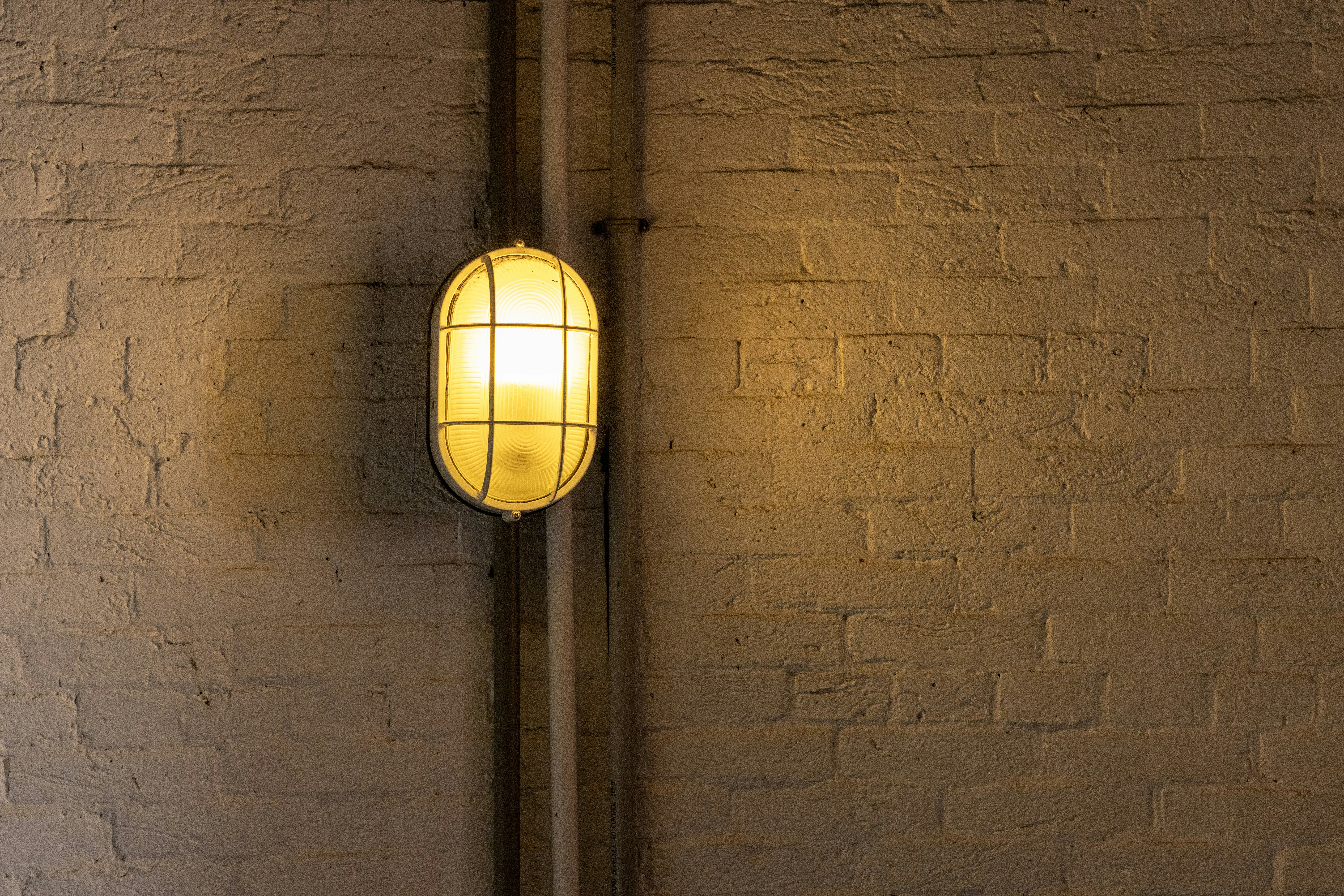 Photo by rocinante_11