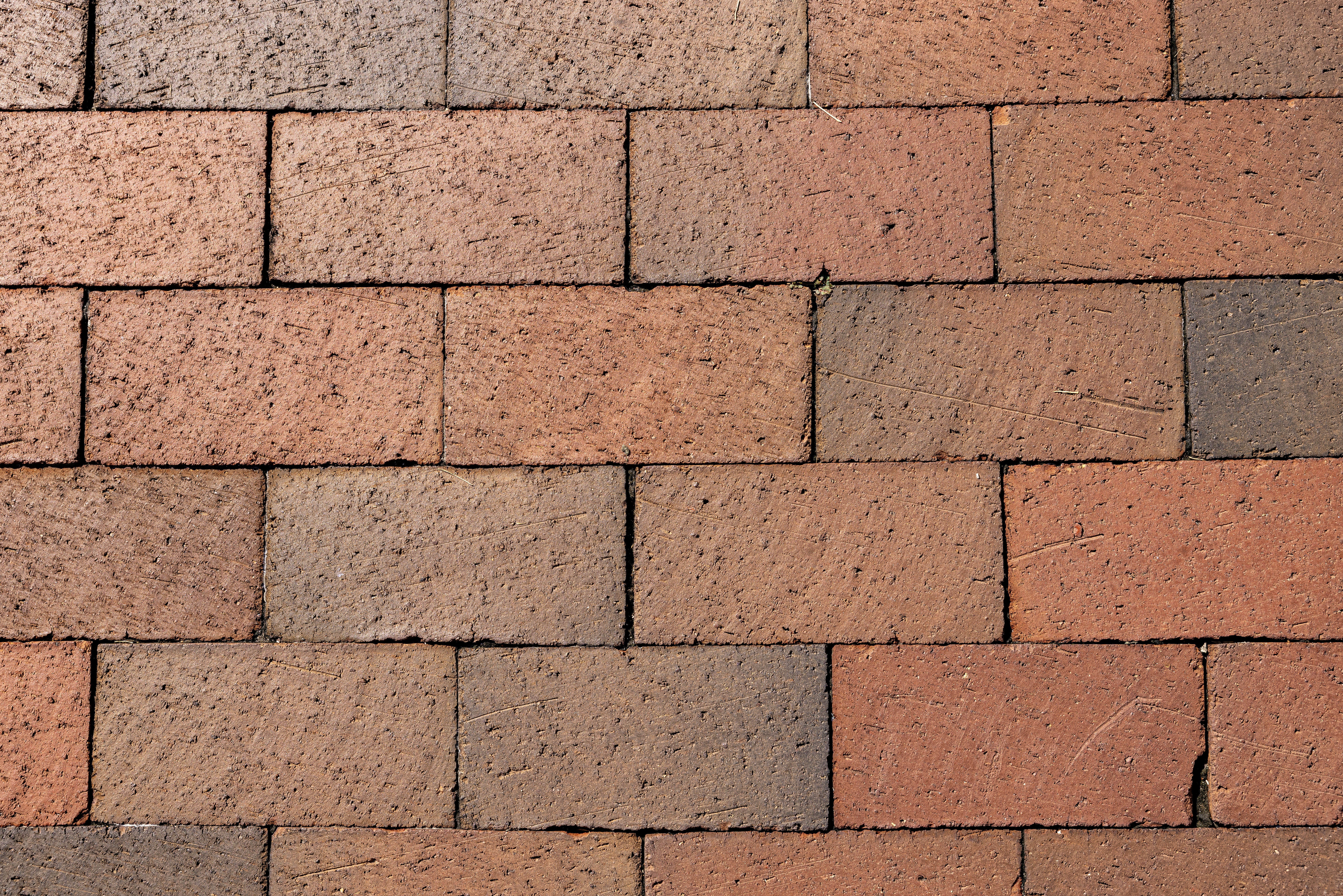 Photo by rocinante_11