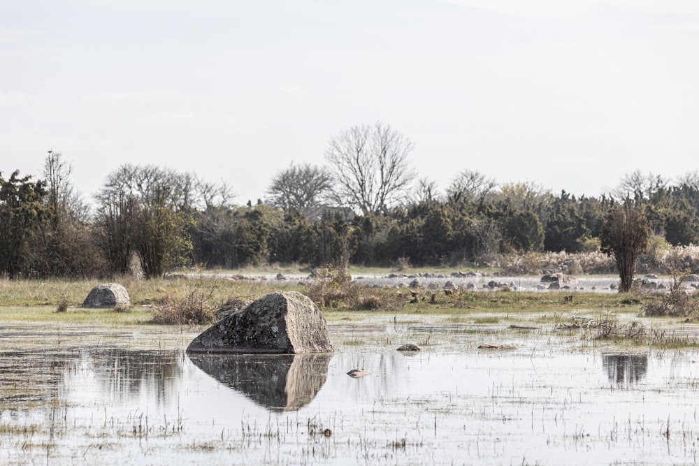 a large rock sitting in the middle of a lake