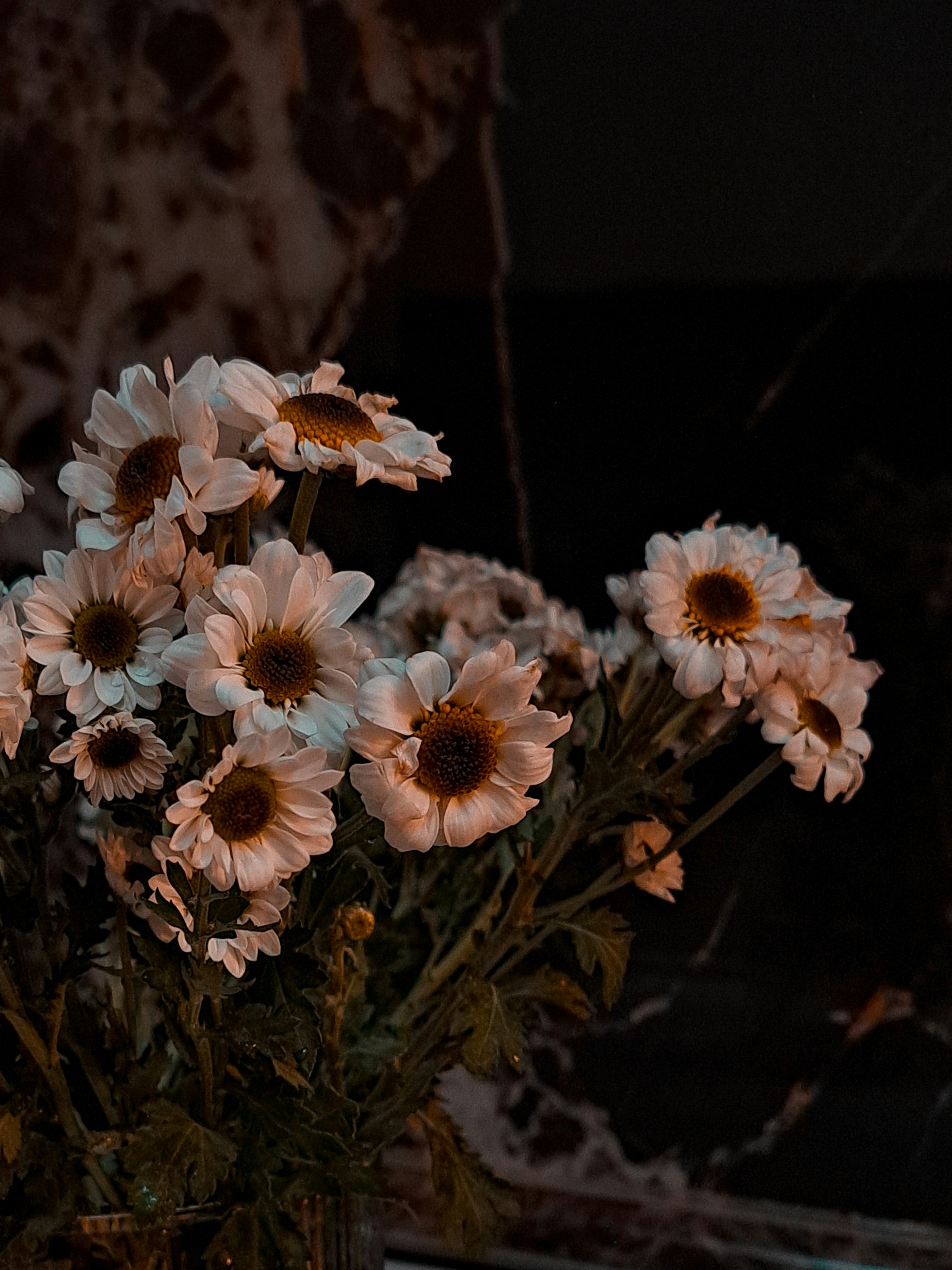 Photo by photo_setayesh