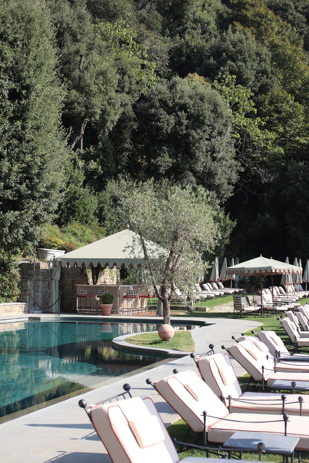 a row of lounge chairs sitting next to a swimming pool