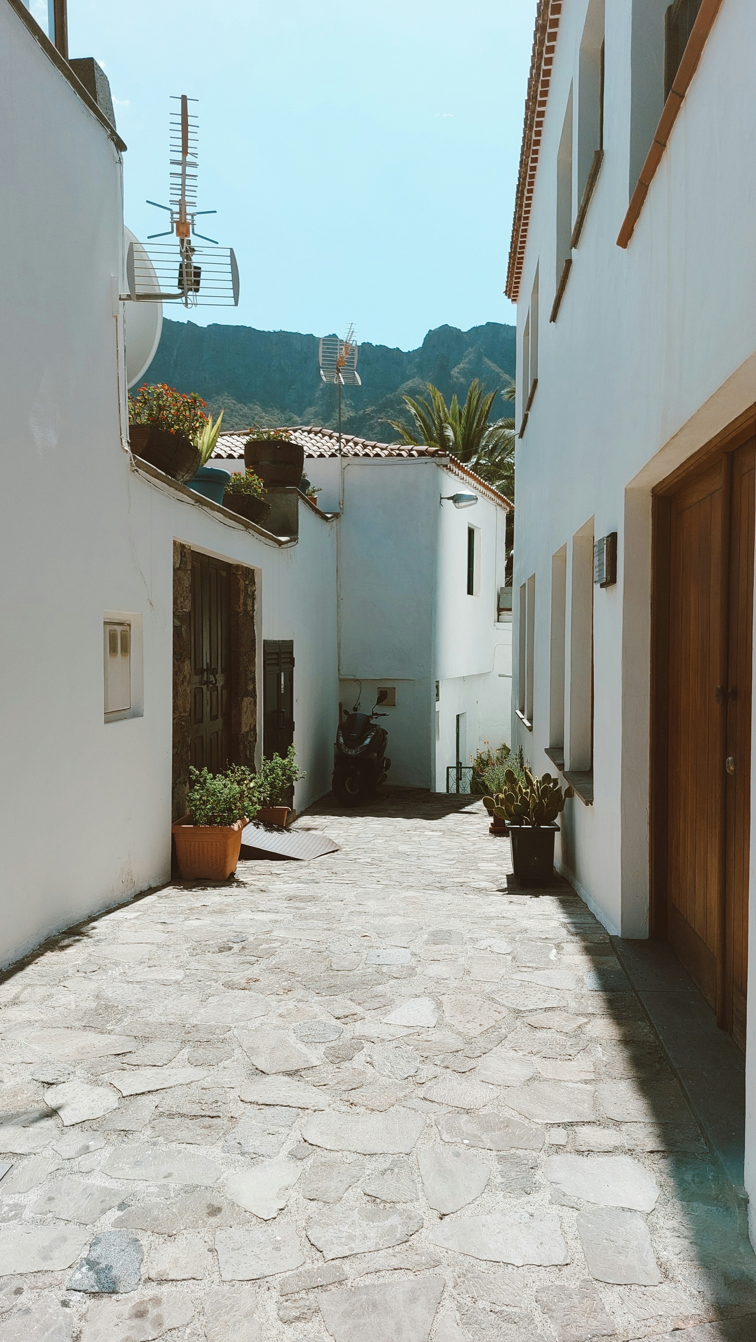 Photo by csilla_monica