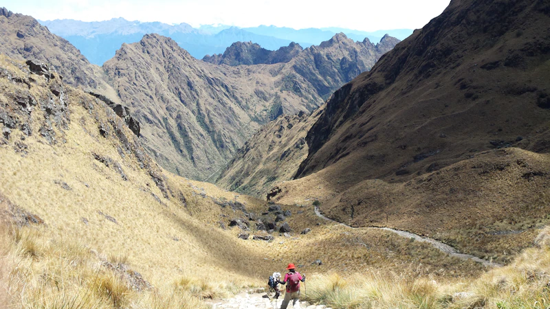 Hikers descending an Inca Trail pass through golden ichu grass toward the Andean peaks