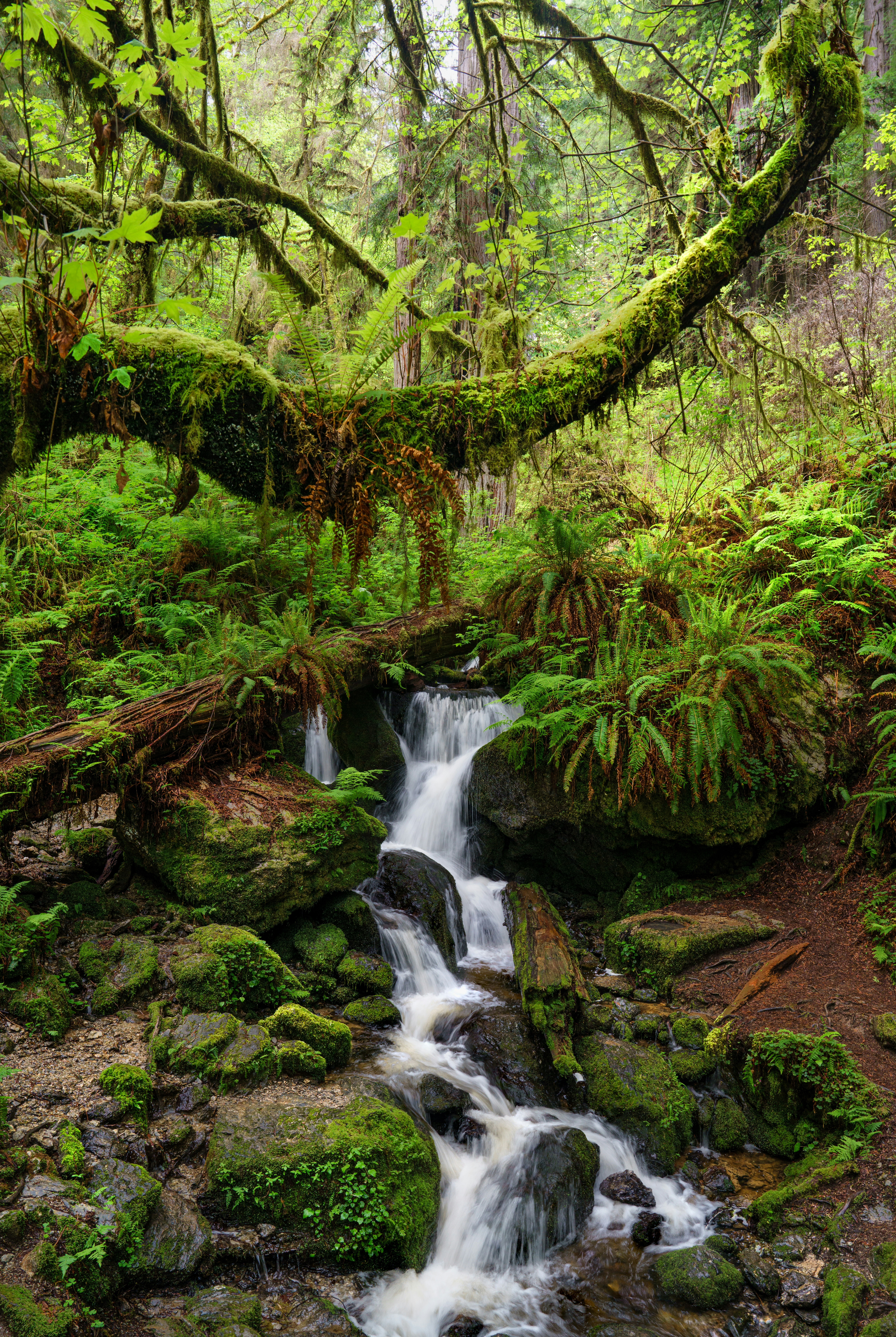 Photo by happy_pixel