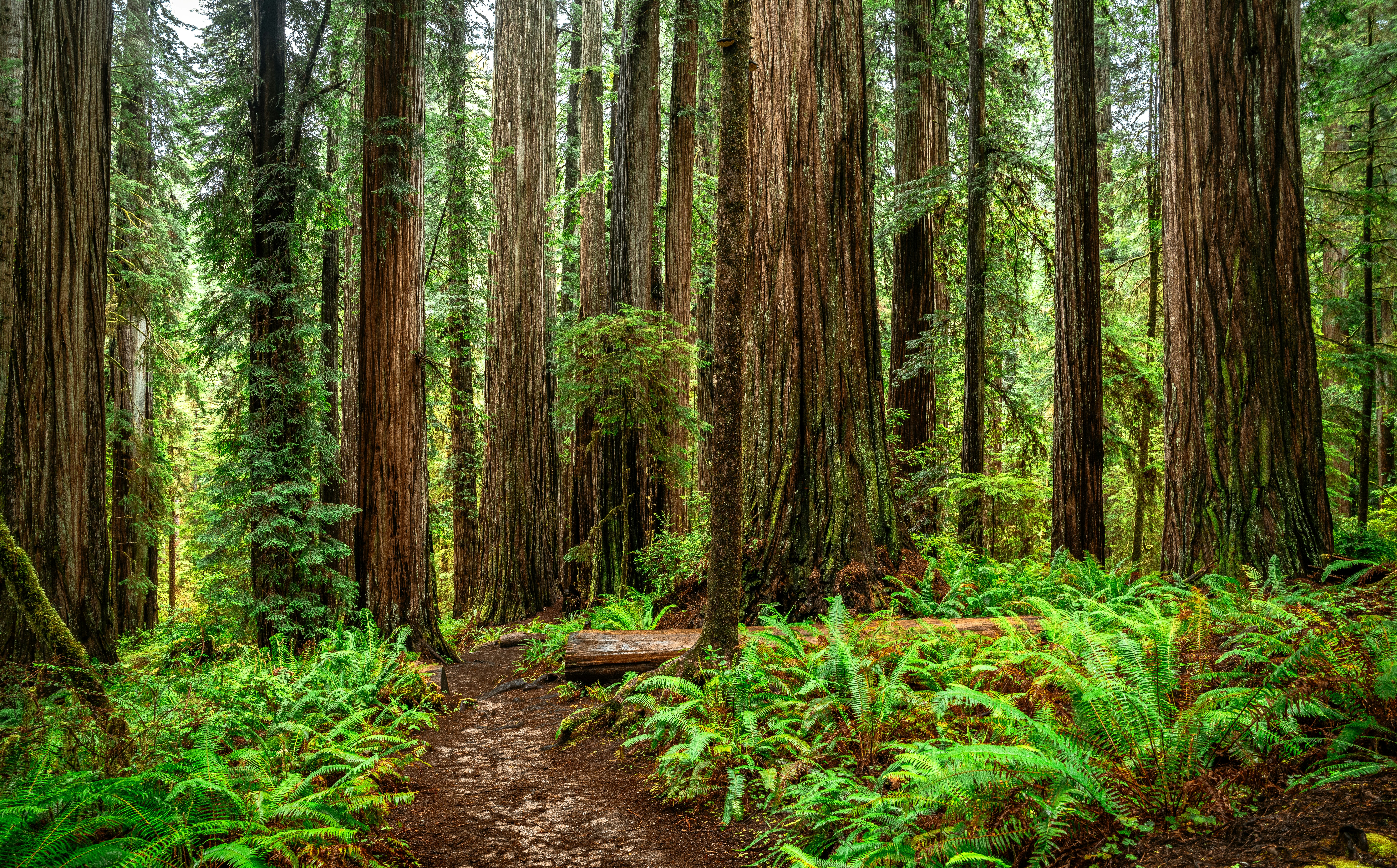 Photo by happy_pixel