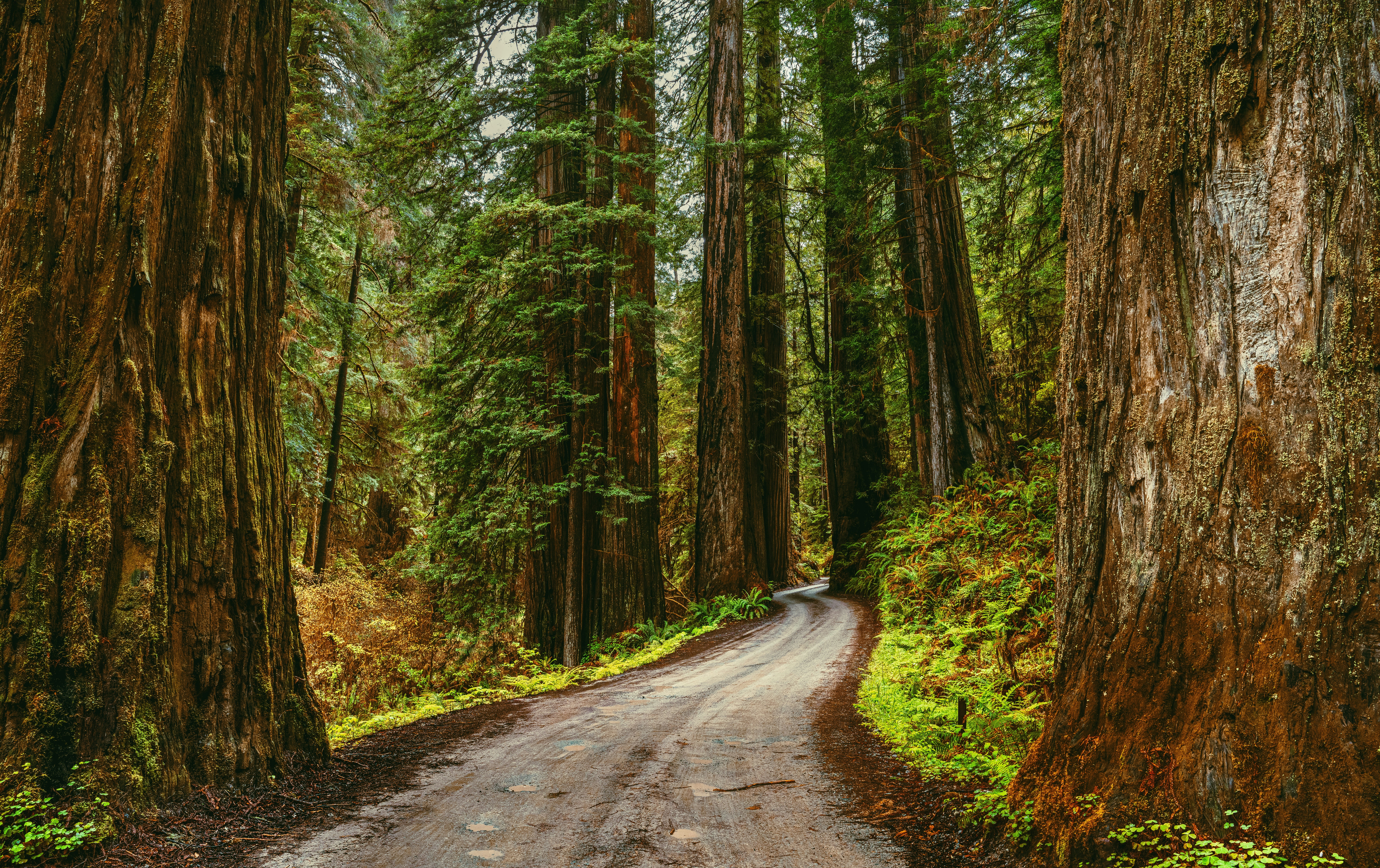 Photo by happy_pixel