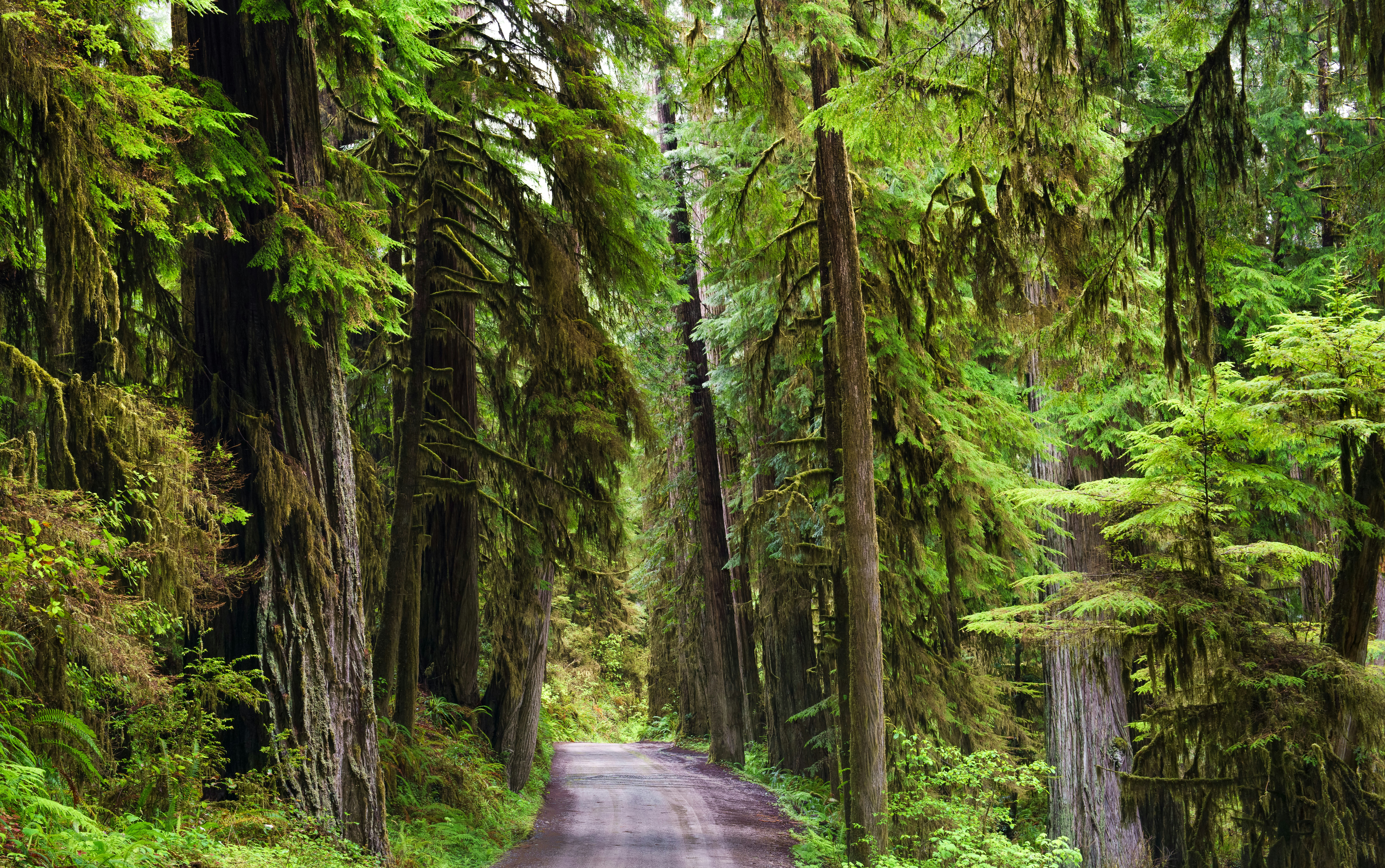 Photo by happy_pixel