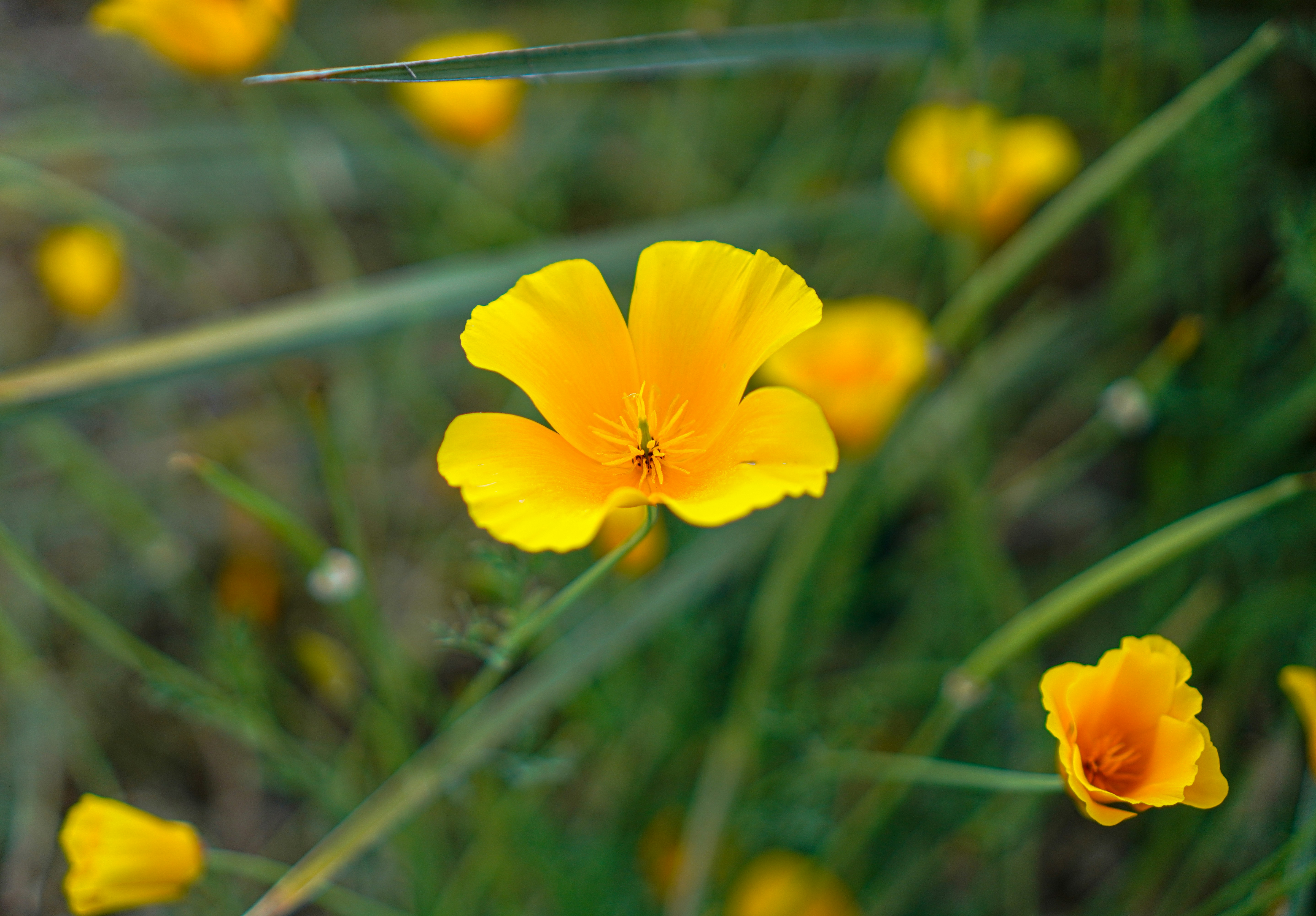 Photo by nataliagasiorowska