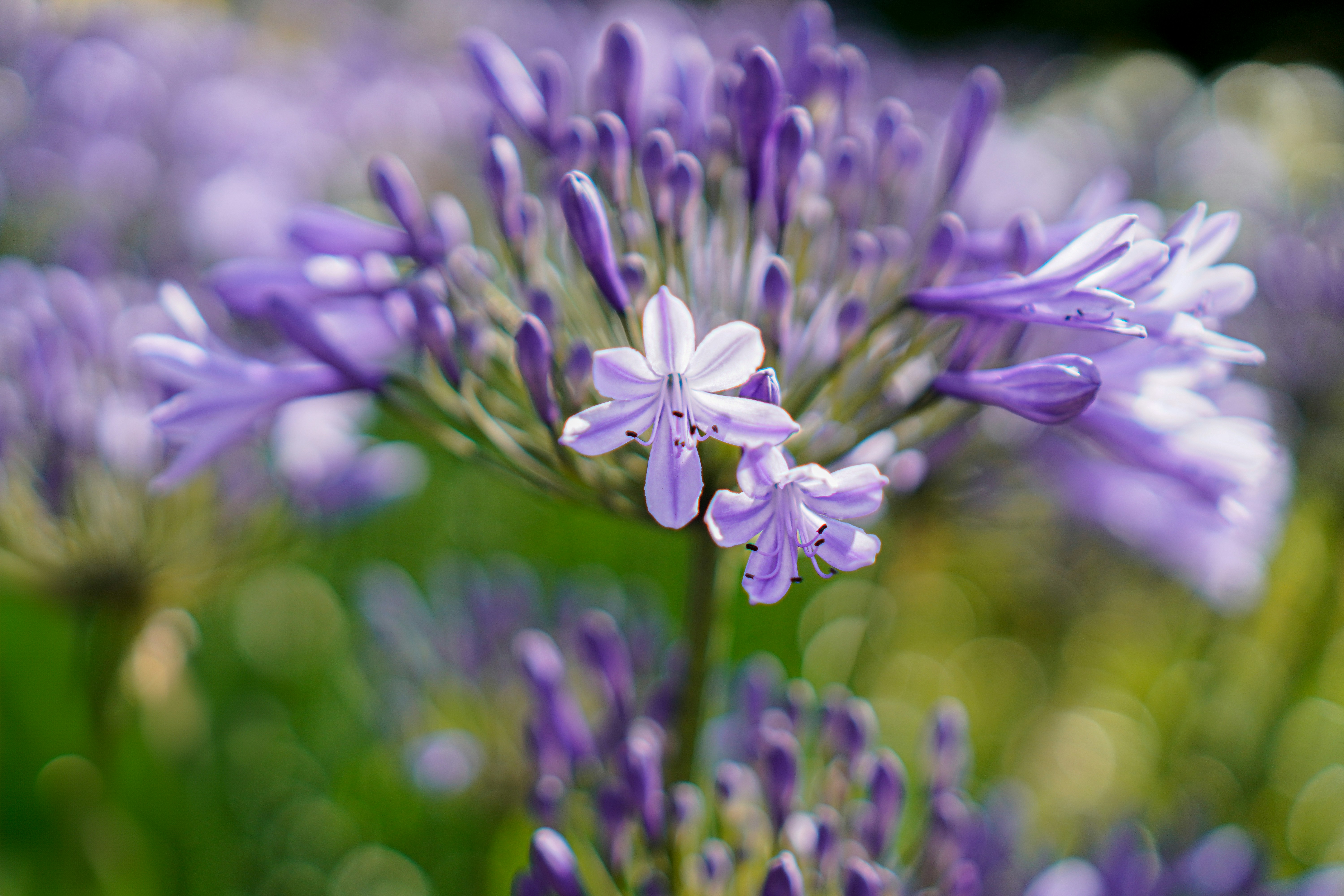 Photo by nataliagasiorowska