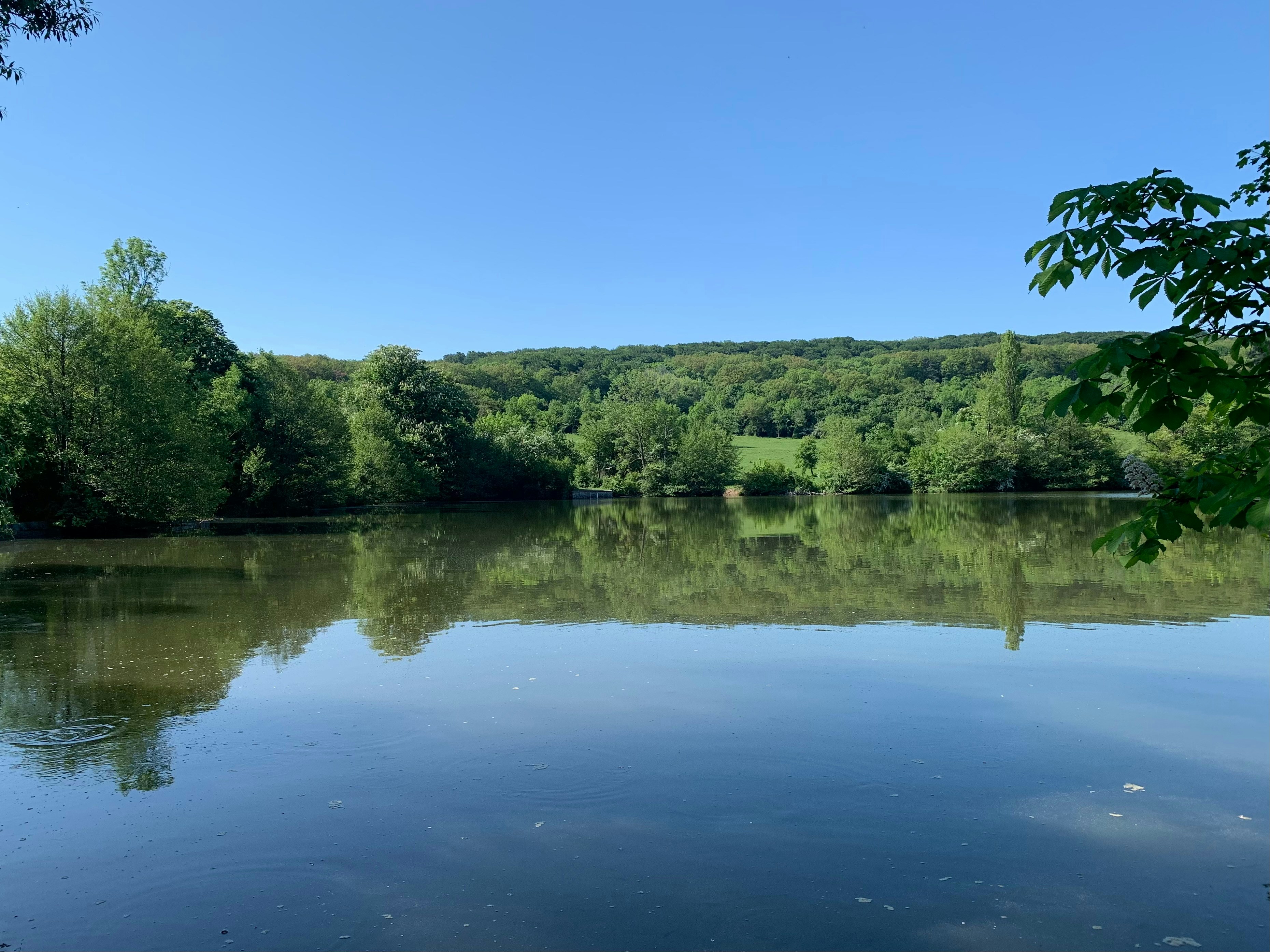 Photo by arashtarassoli