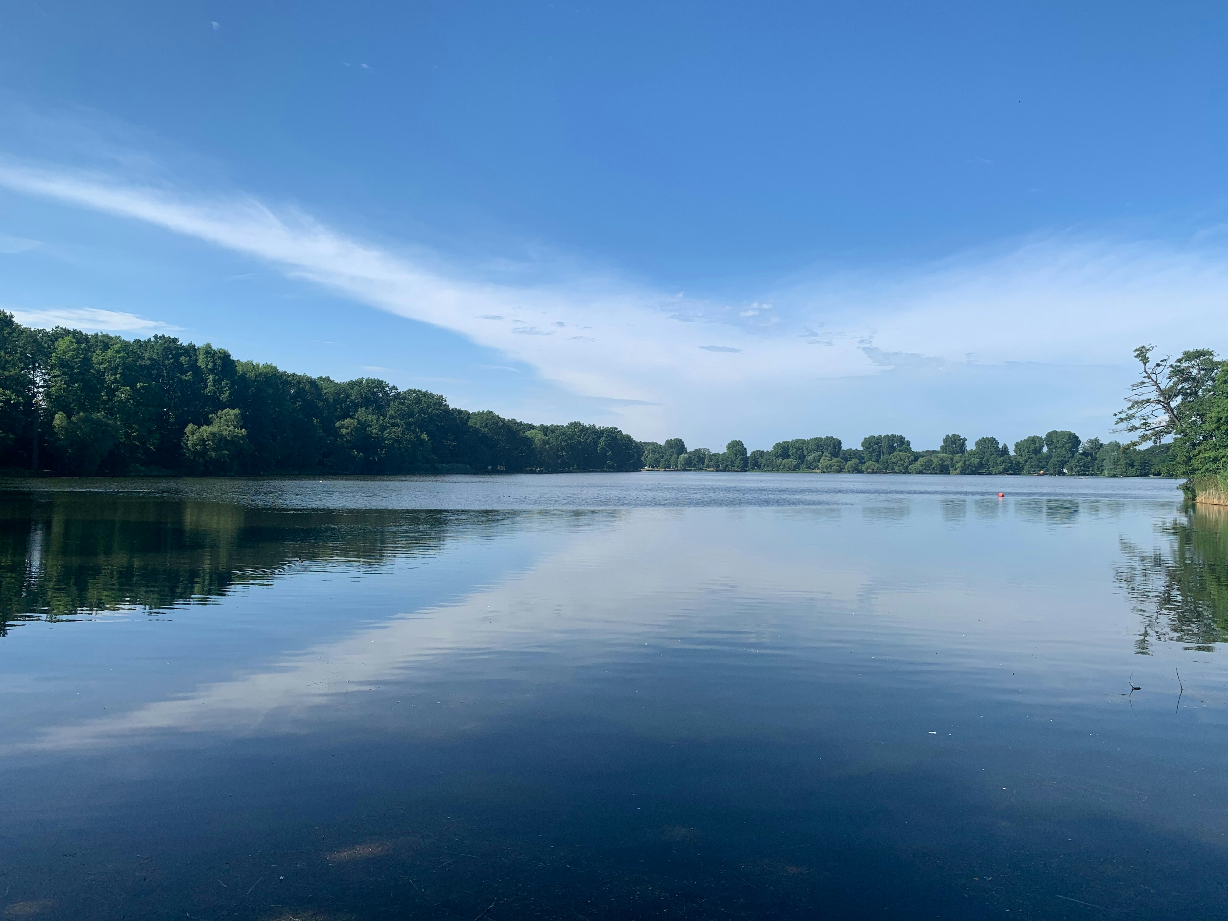 Photo by arashtarassoli