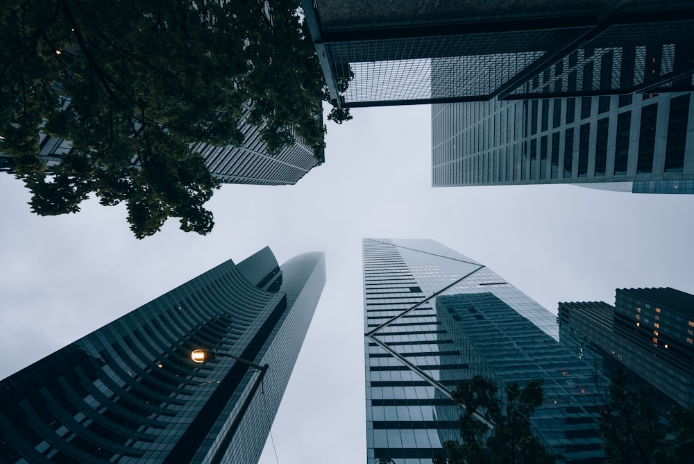 looking up at tall buildings in a city