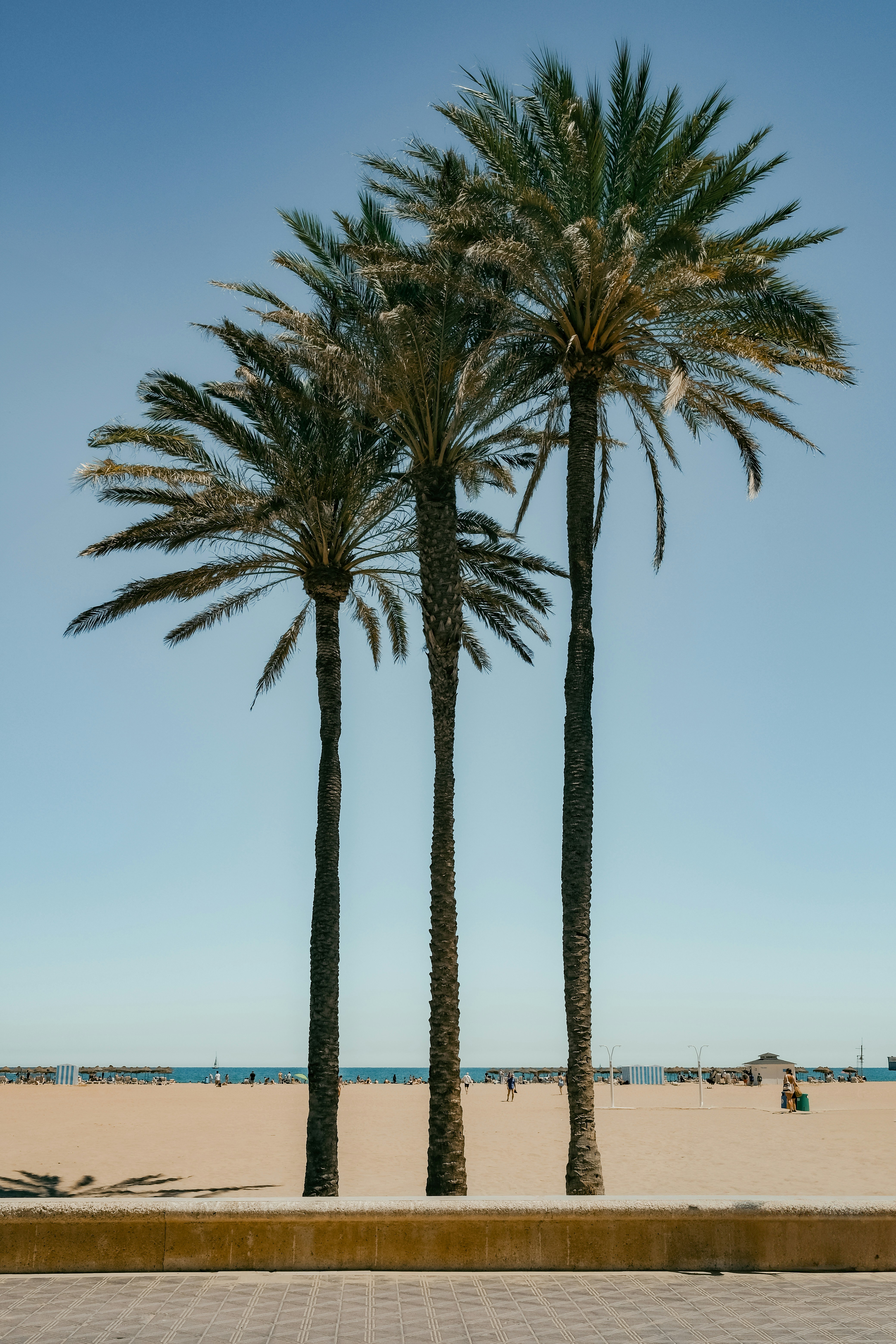 Choose from a curated selection of summer photos. Always free on Unsplash.