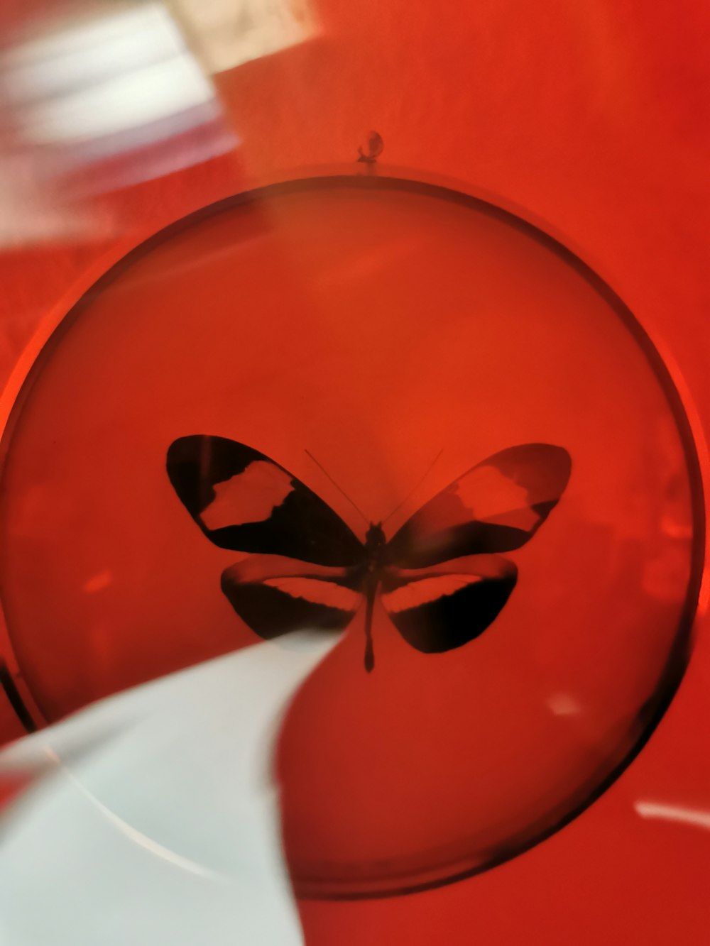 a glass ball with a butterfly on it