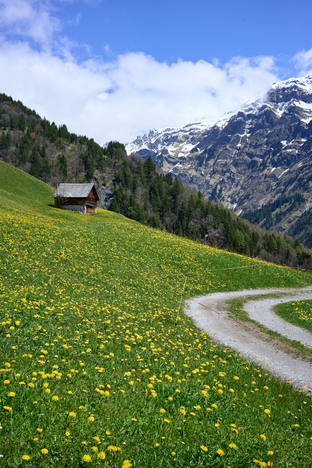 a small house on a hill with a path leading to it