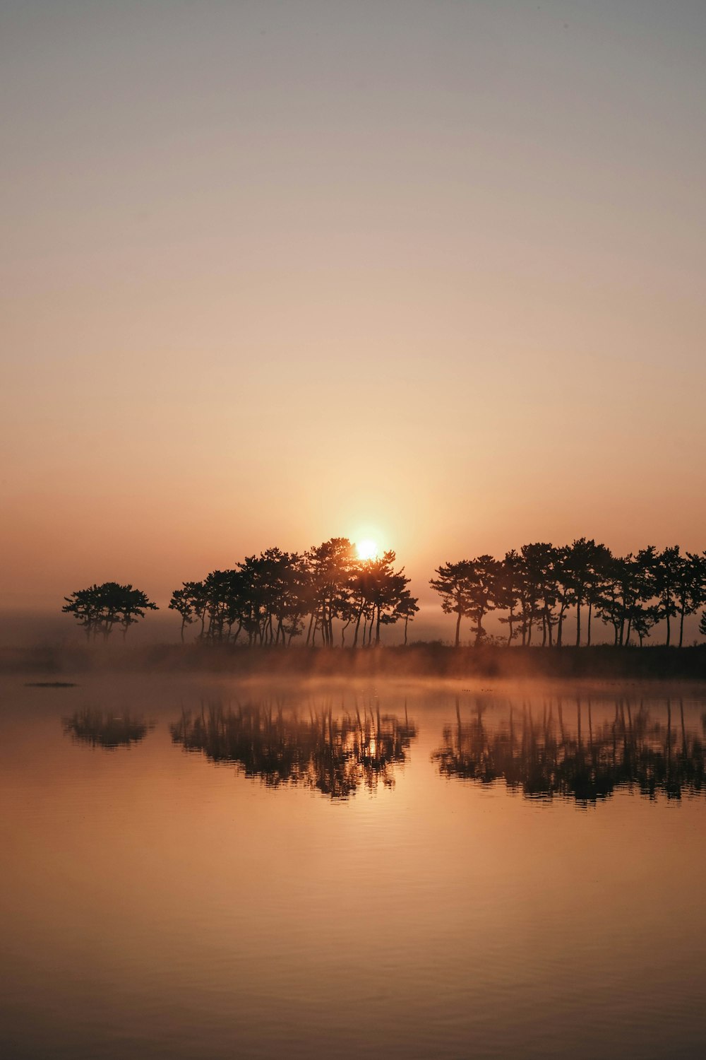 a foggy lake with trees in the distance