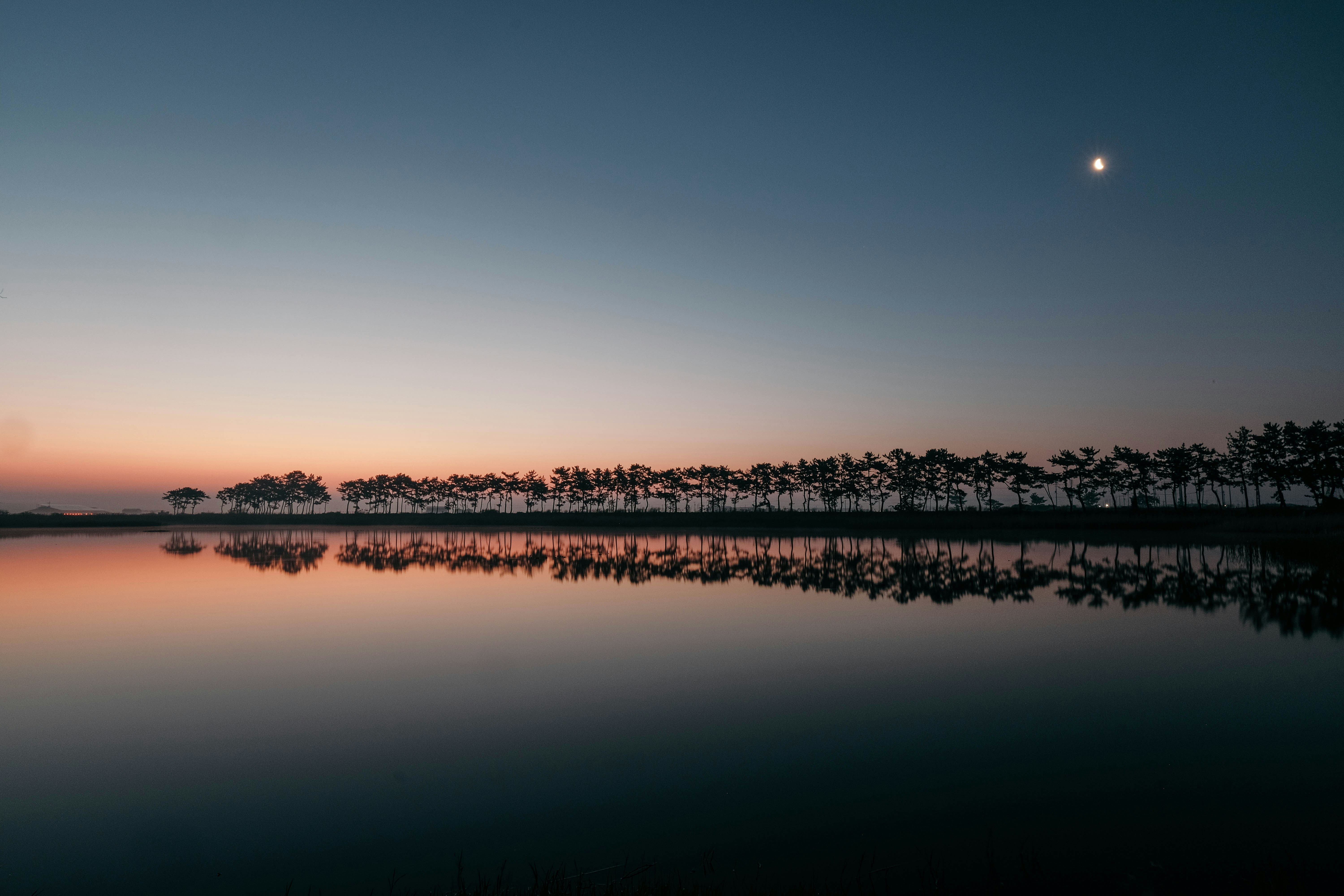 Photo by insungpandora