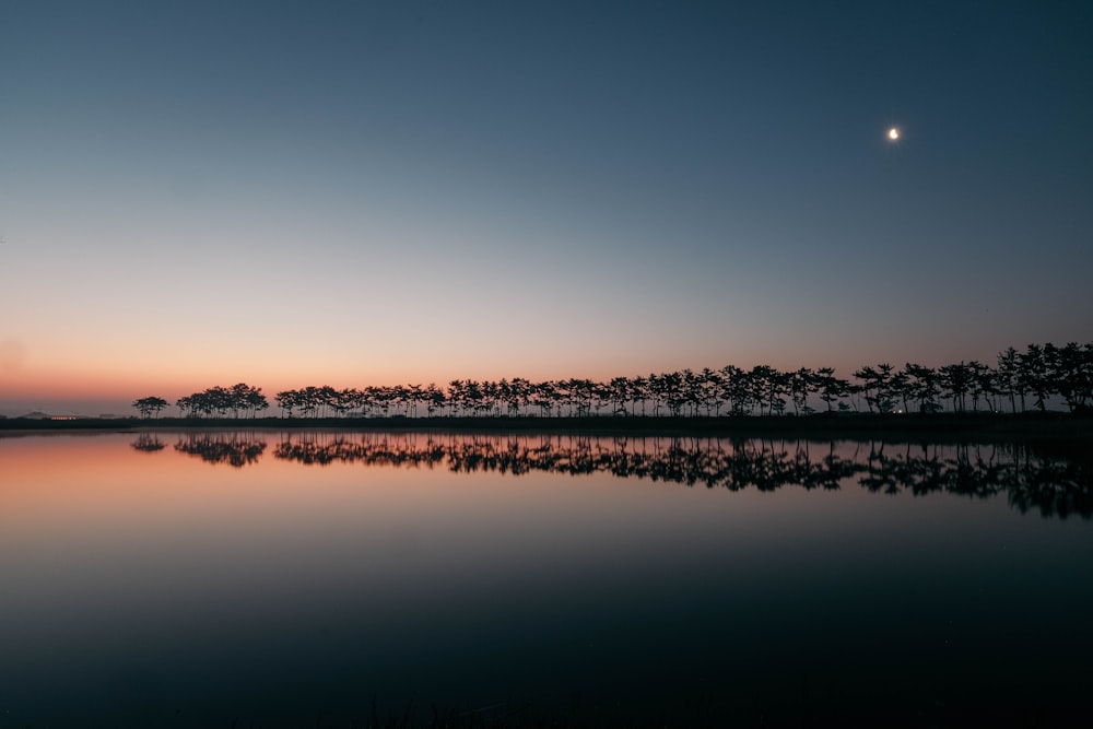 a body of water with trees in the background