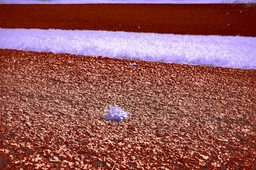 a blue and white object sitting in the middle of a field