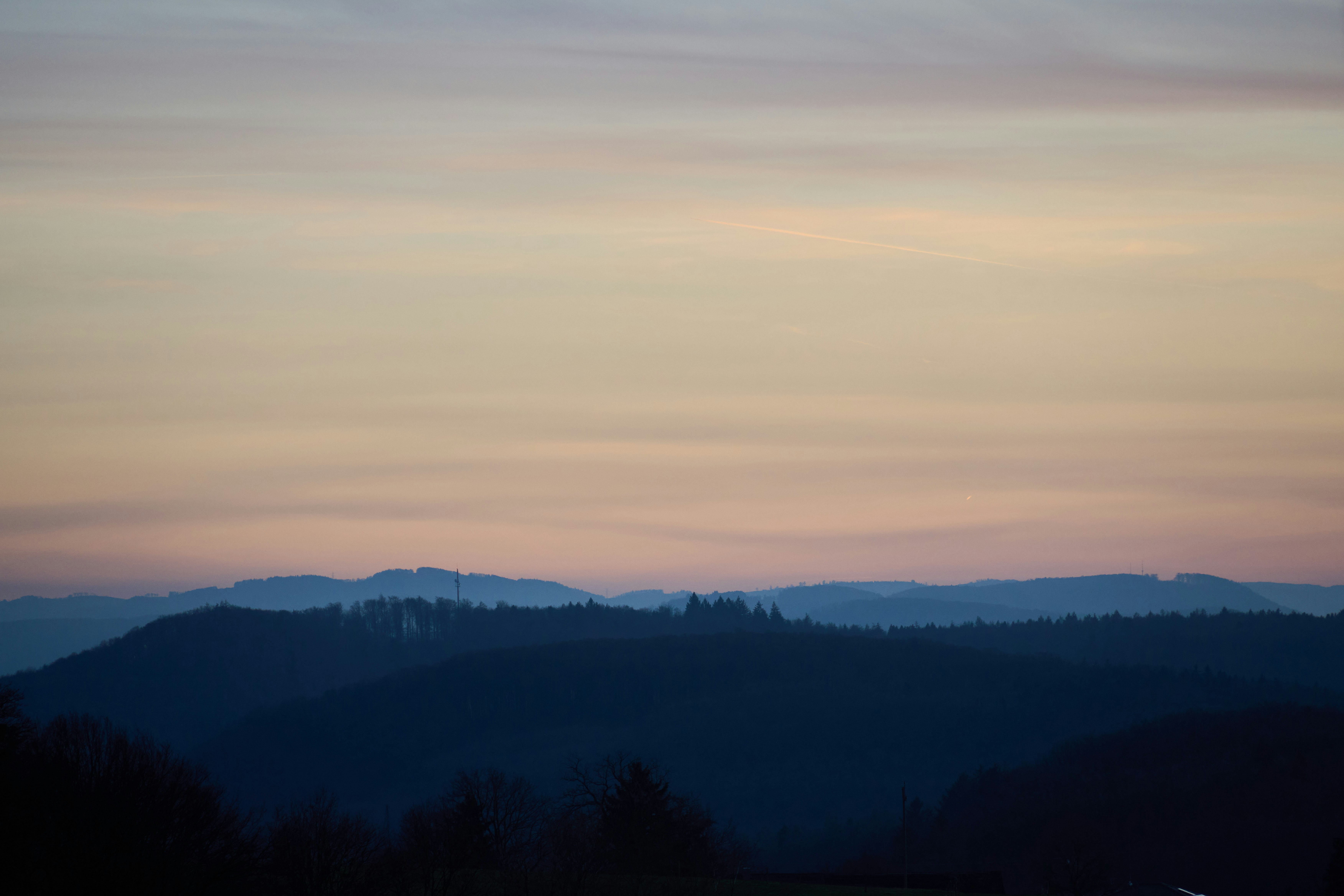 Photo by wolfgang_hasselmann