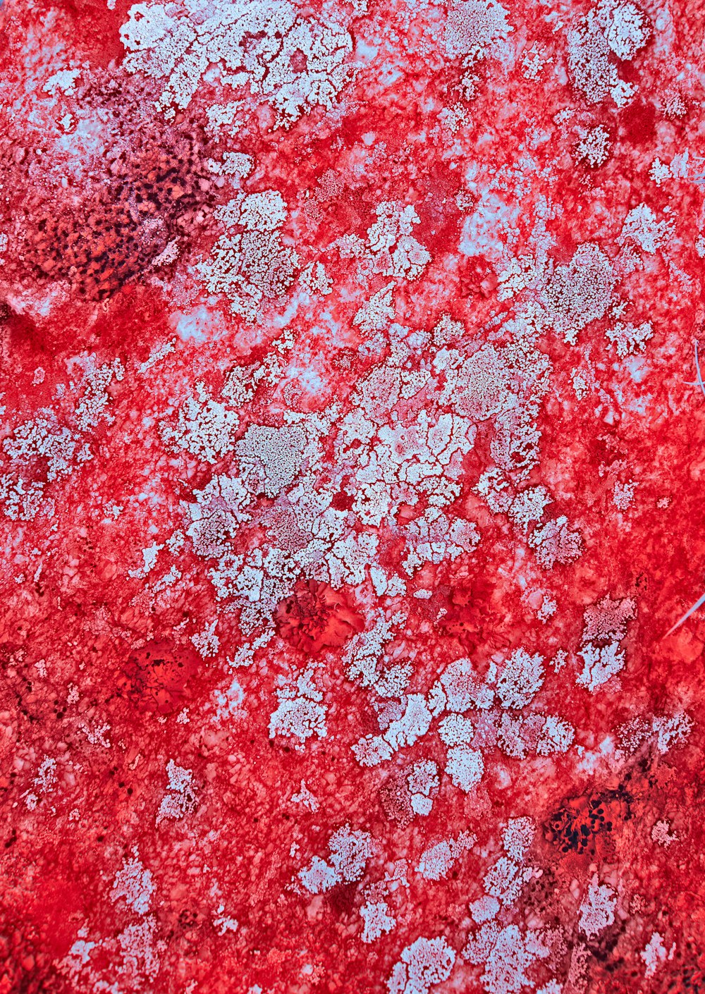 a close up of a red surface with white and blue designs