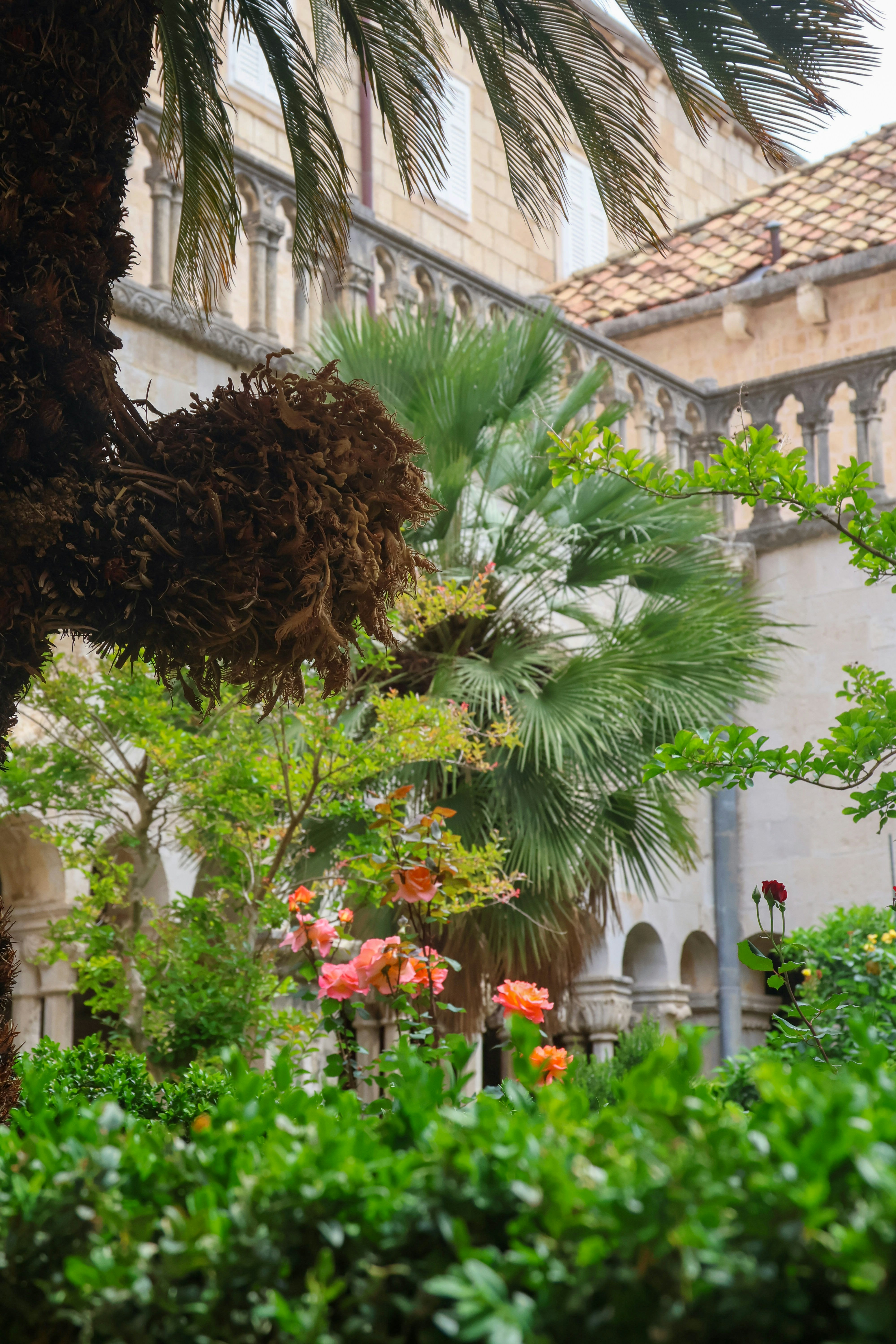 Photo by traveleroohlala