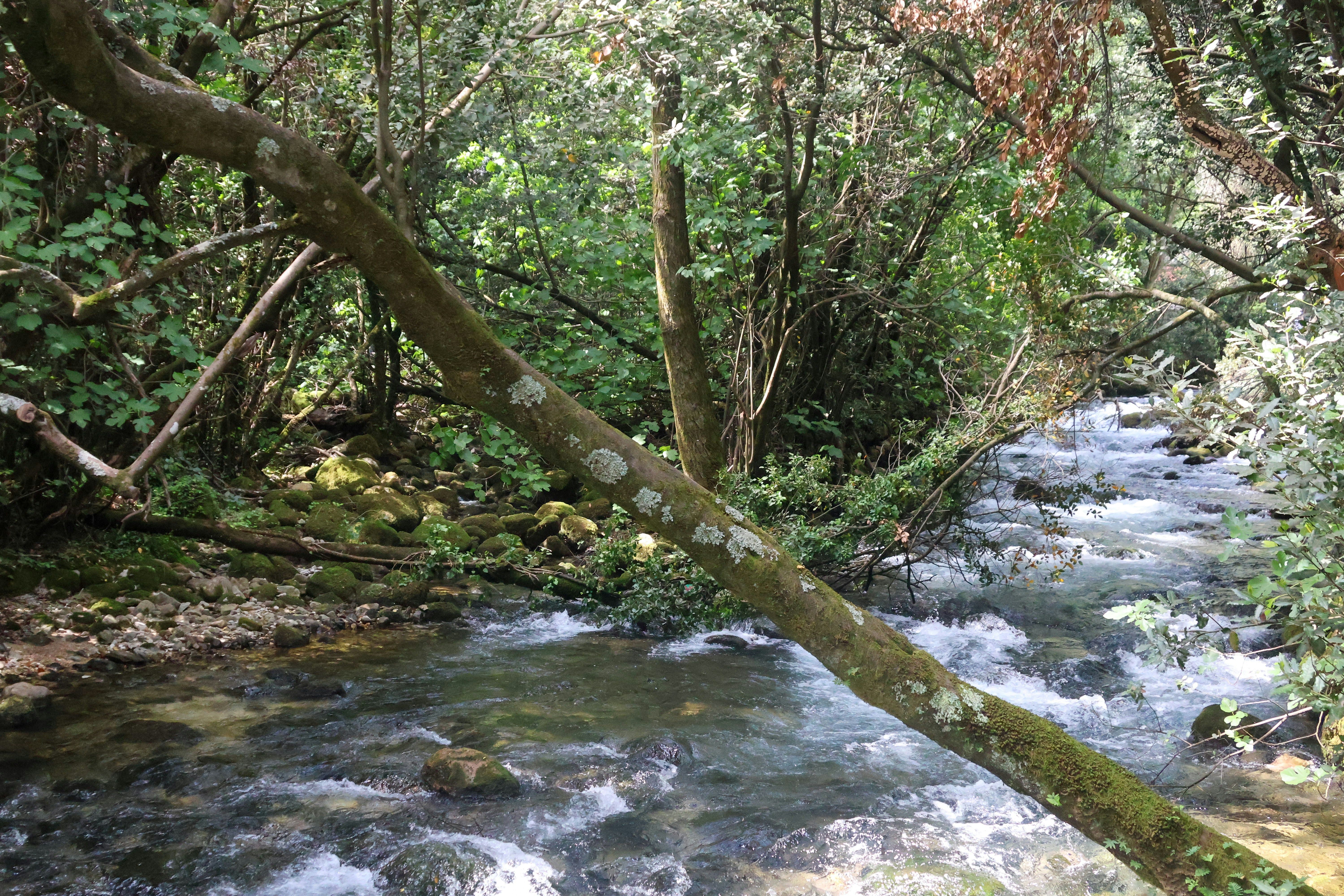 Photo by traveleroohlala