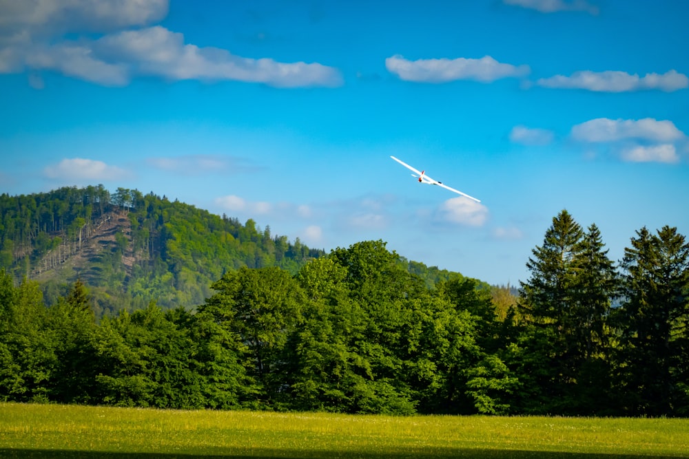 a plane flying over a lush green forest