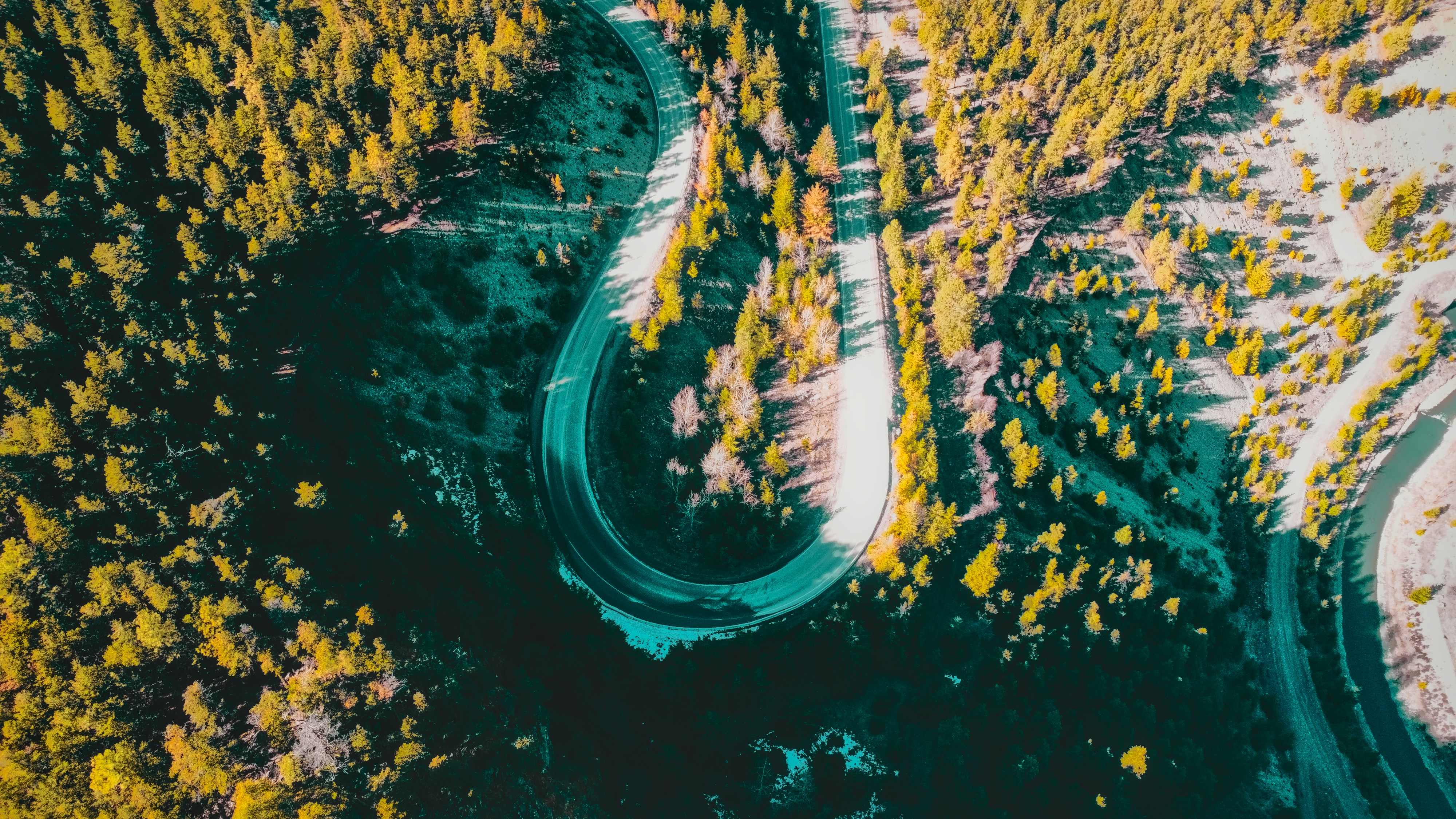 Photo by dcanadianphotographer