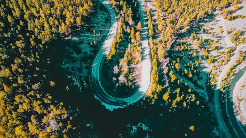 an aerial view of a winding road in the middle of a forest