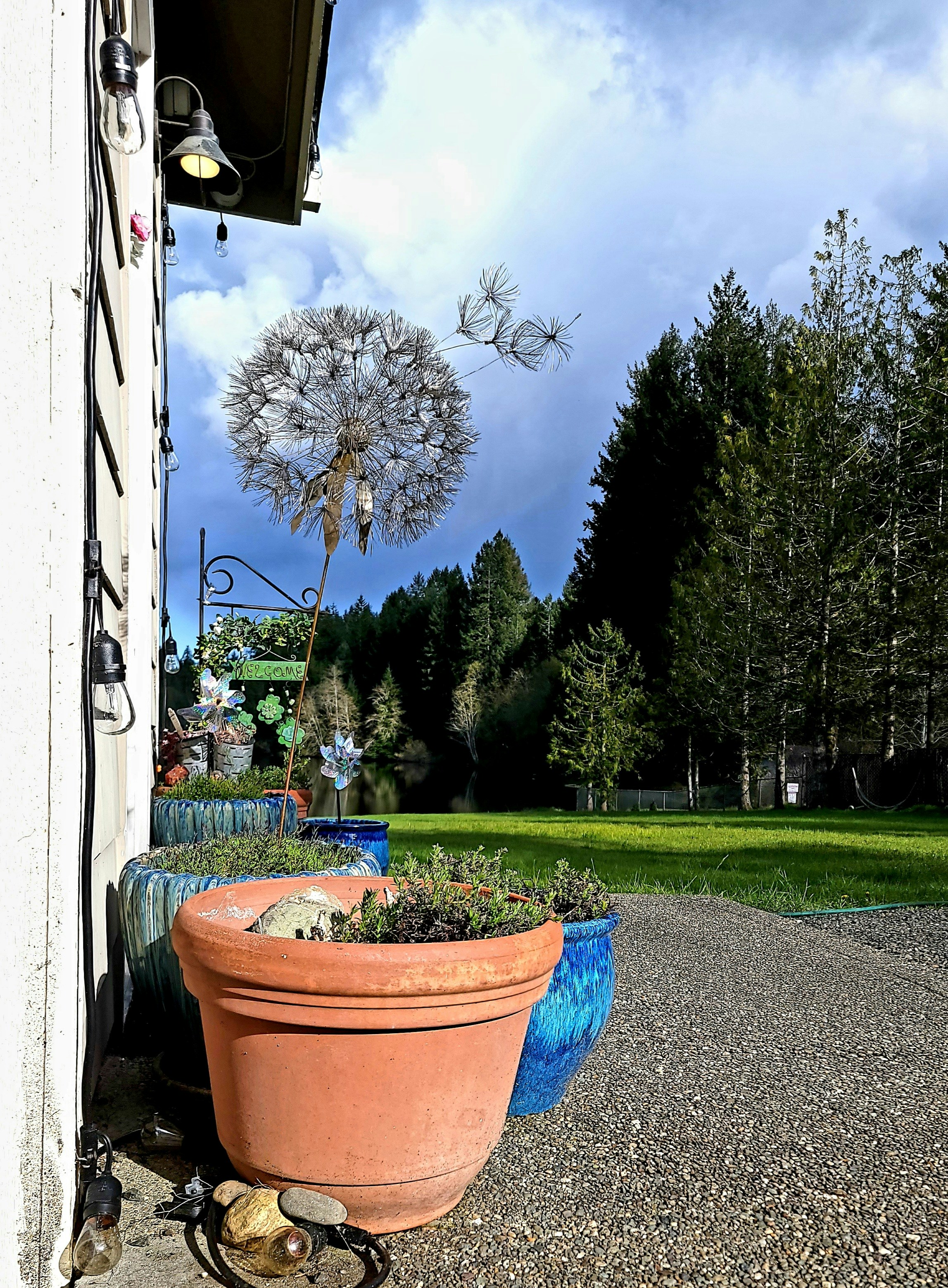 A large potted plant sitting on the side of a building photo – Free ...