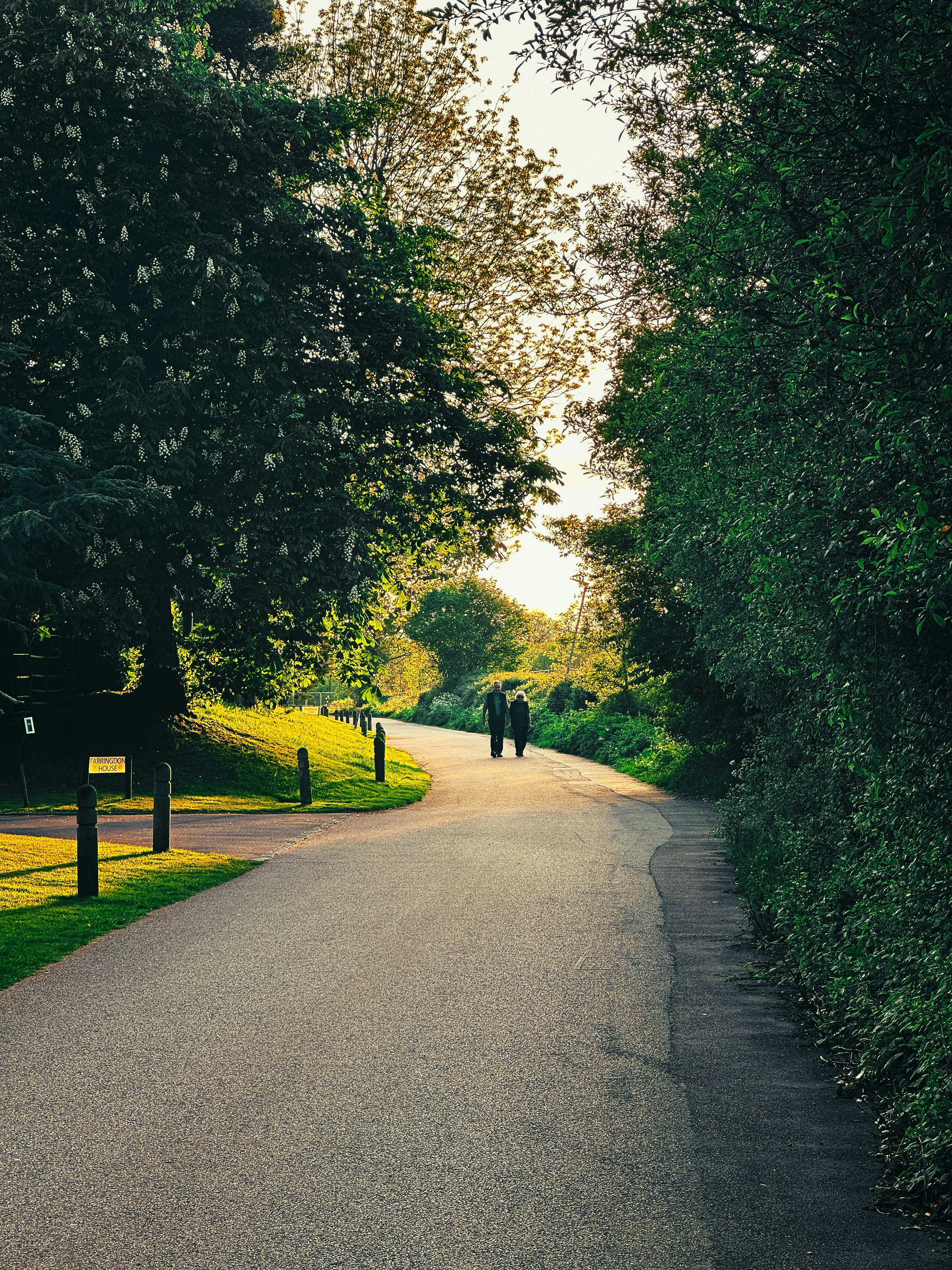 a couple of people walking down a tree lined road