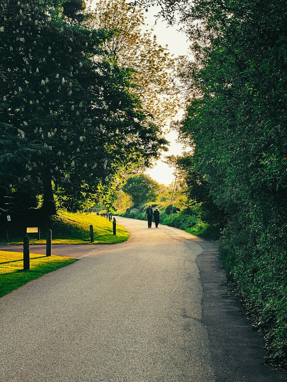 a couple of people walking down a tree lined road