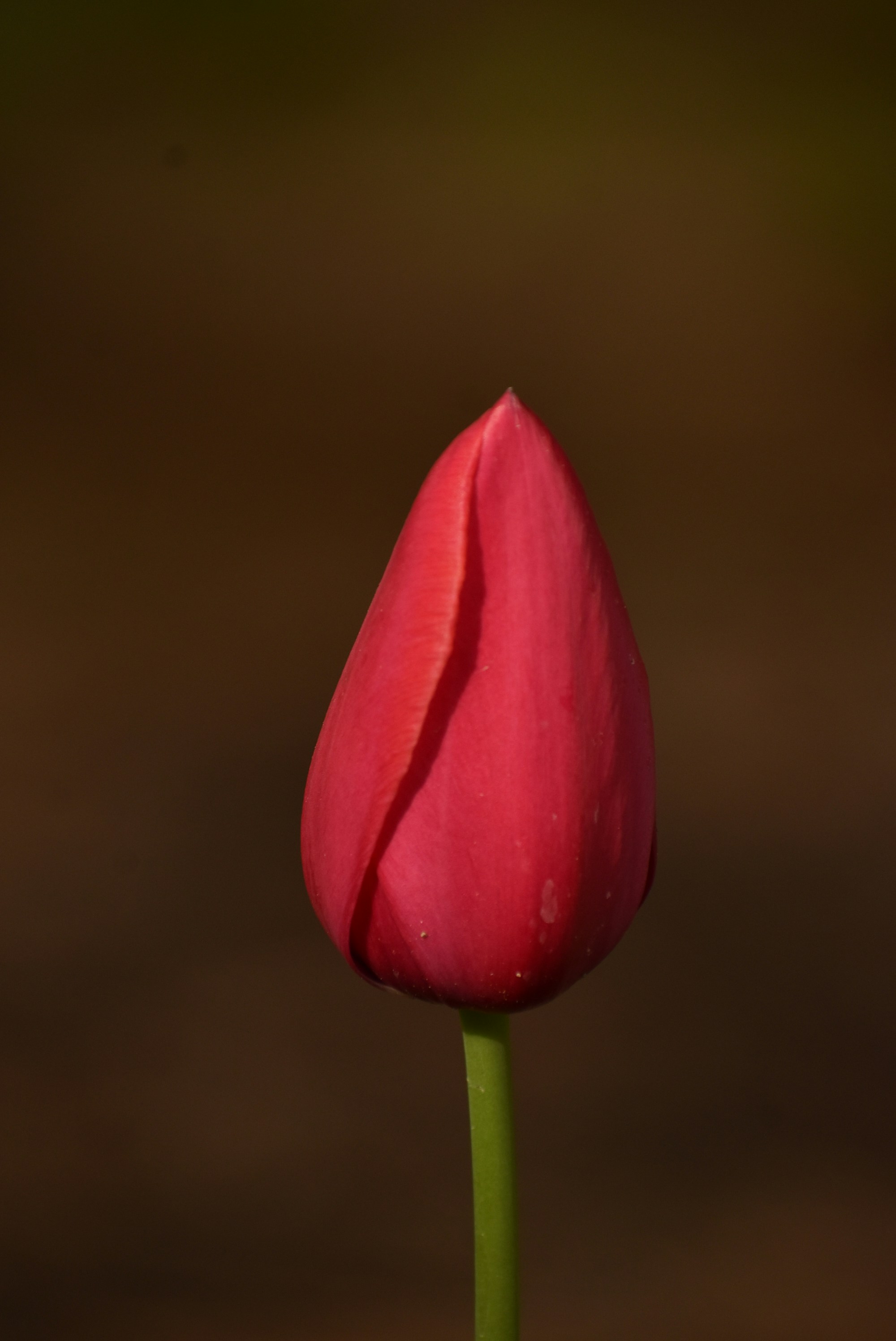 Photo by kaylalinford