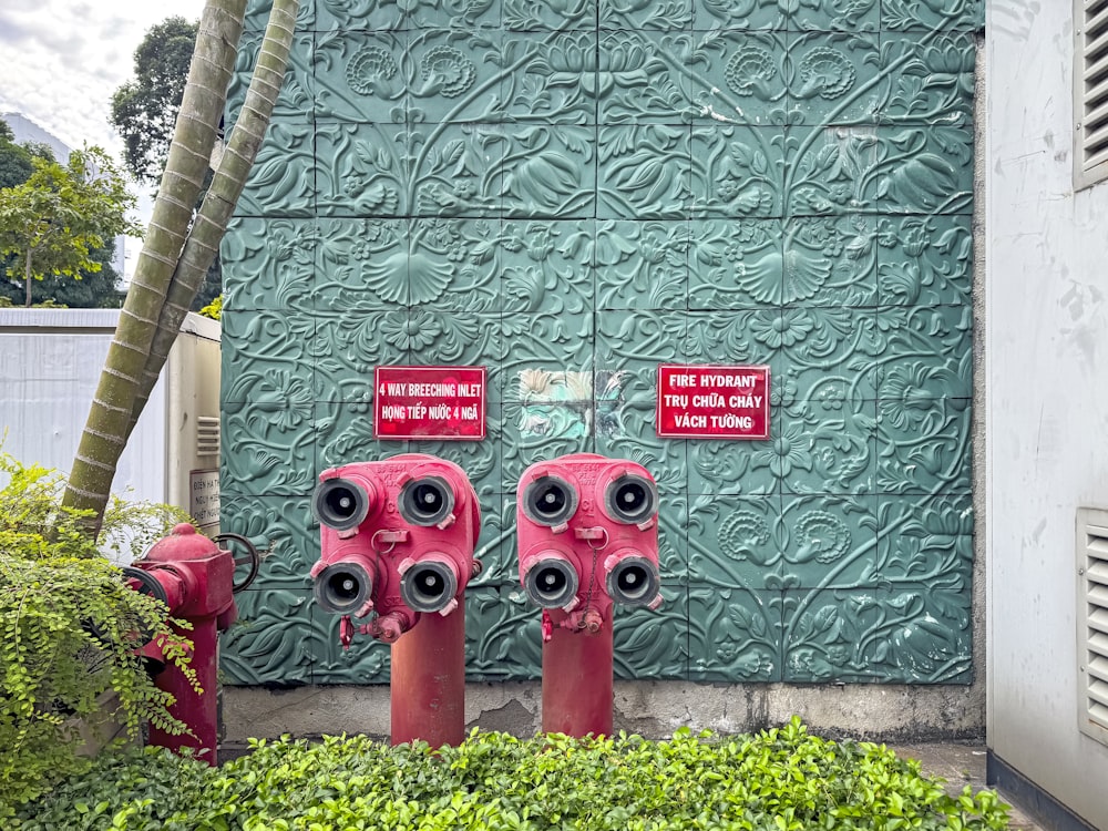 two red fire hydrants in front of a green wall