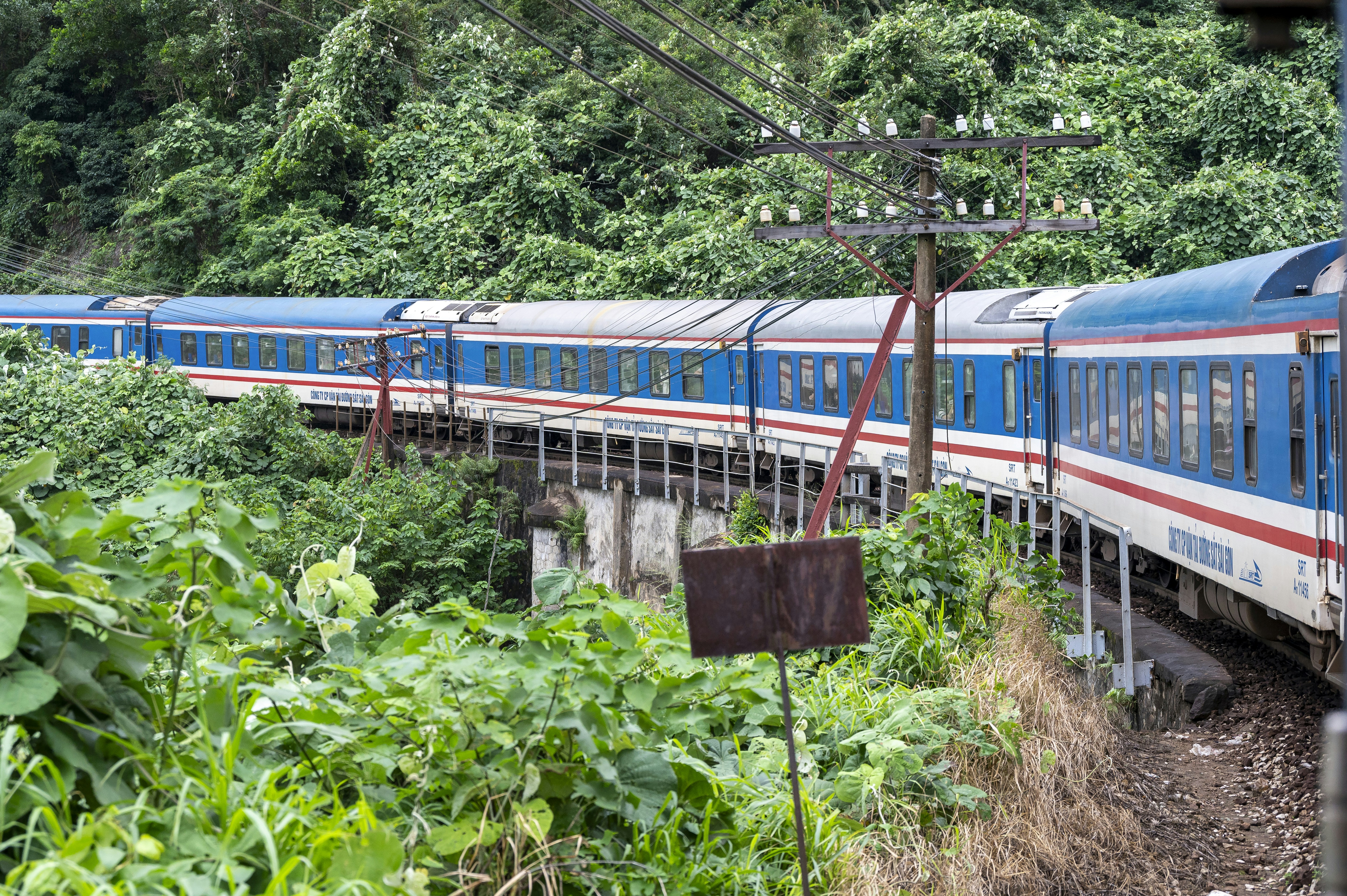 a blue and white train traveling through a lush green forest