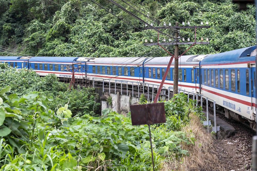 a blue and white train traveling through a lush green forest