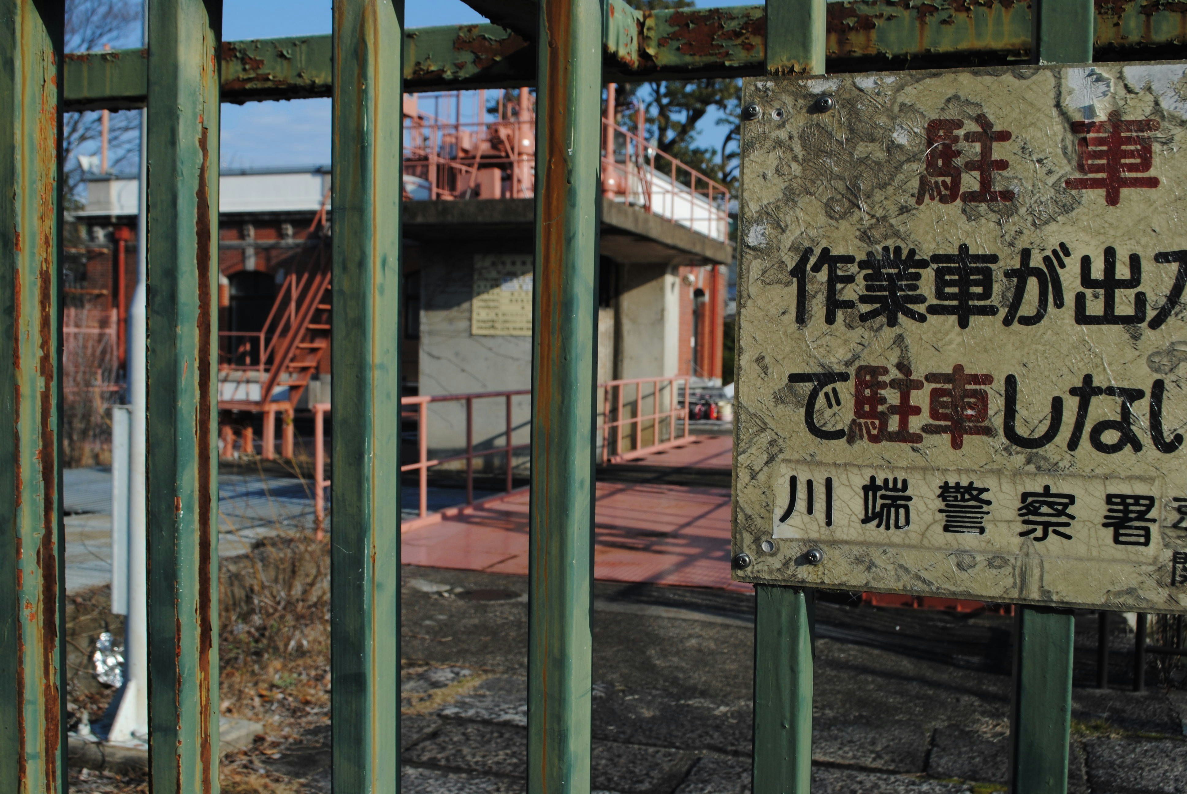 Okunoshima abandoned factory and rabbits