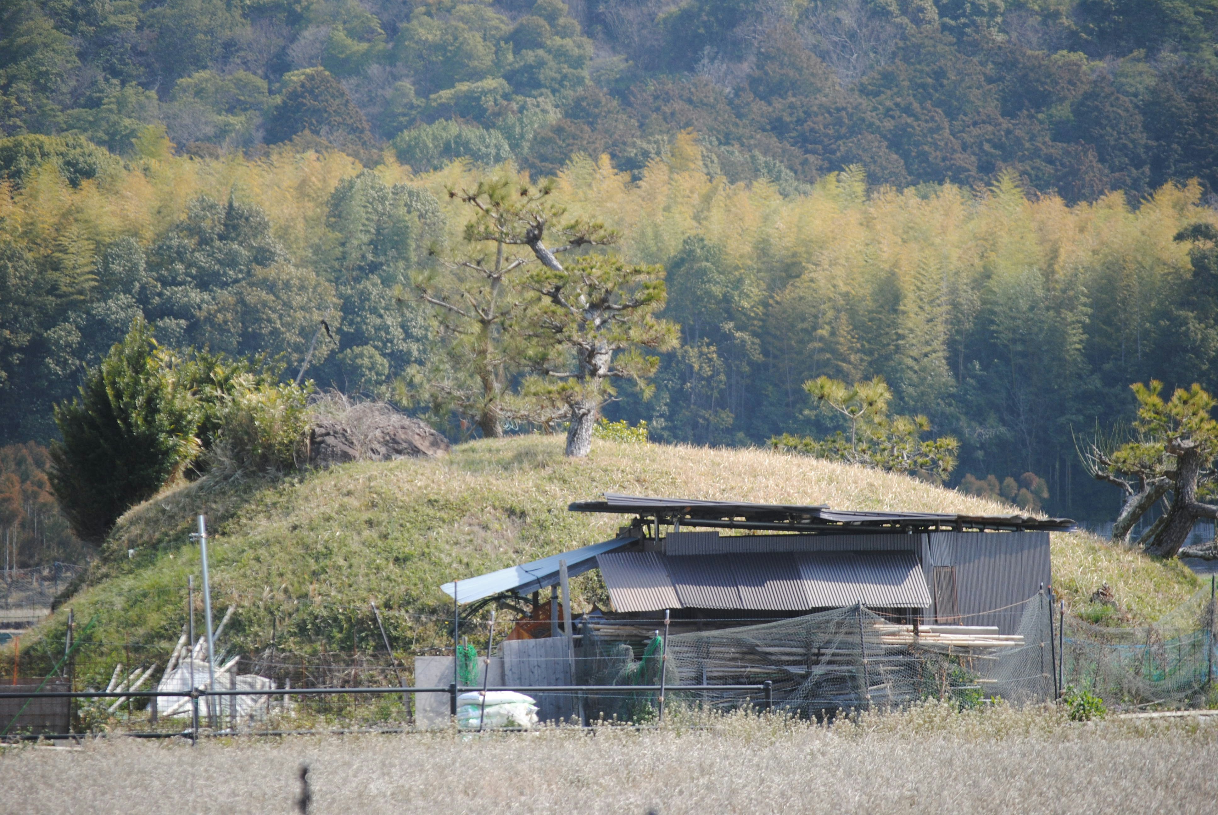 Base Camp Bar Mt Mckinley Menu