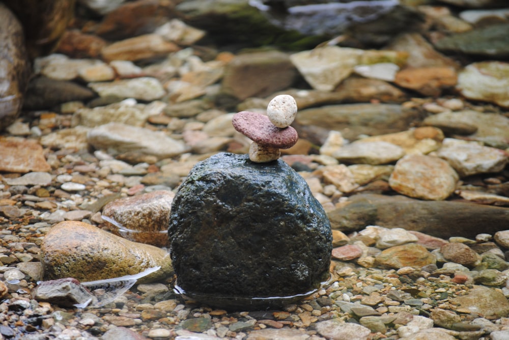 a rock with a small toy standing on top of it