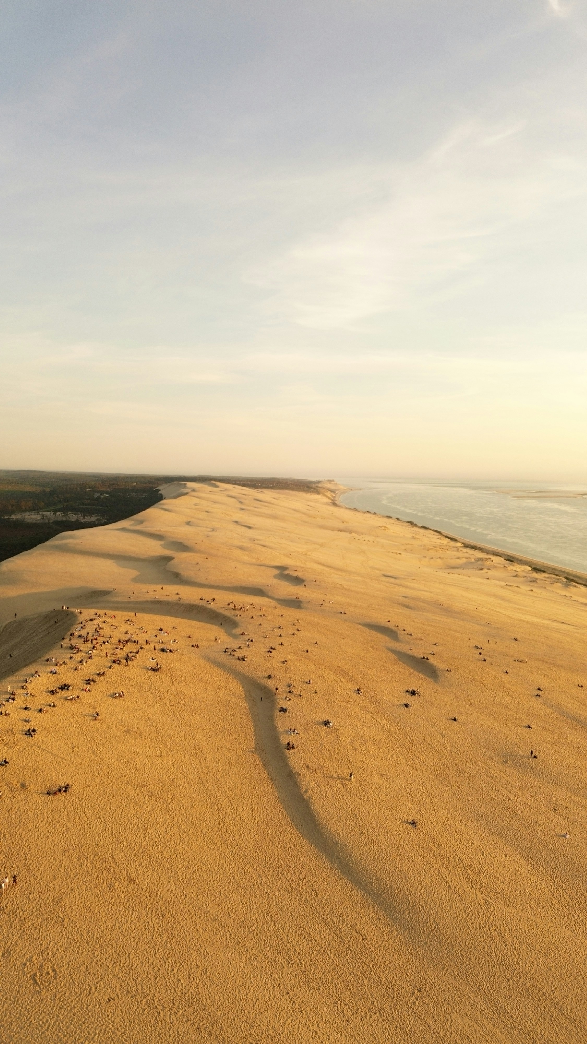 Photo by world_thing