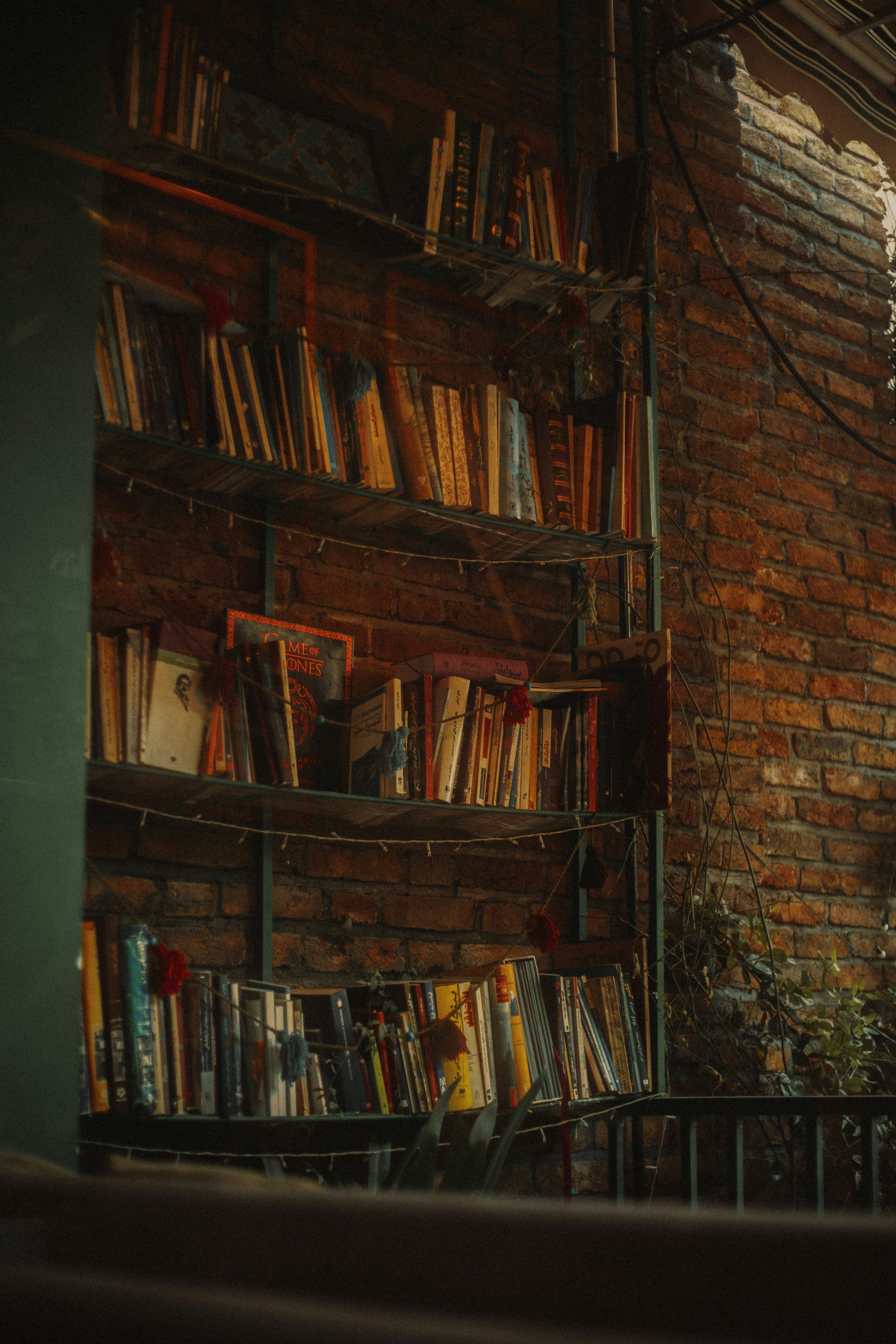 Photo by mrcharkhgard