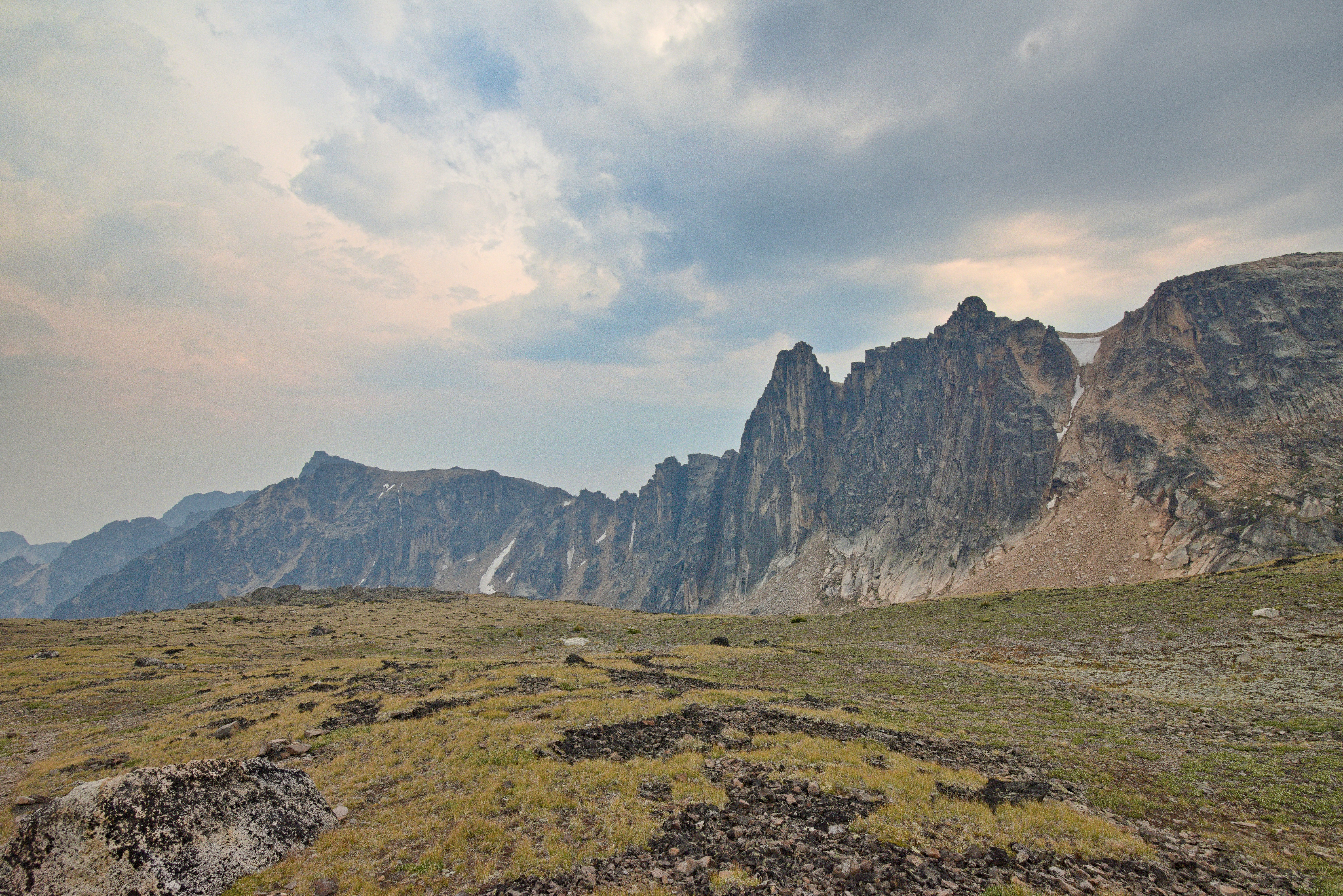 un champ herbeux avec une montagne en arrière-plan