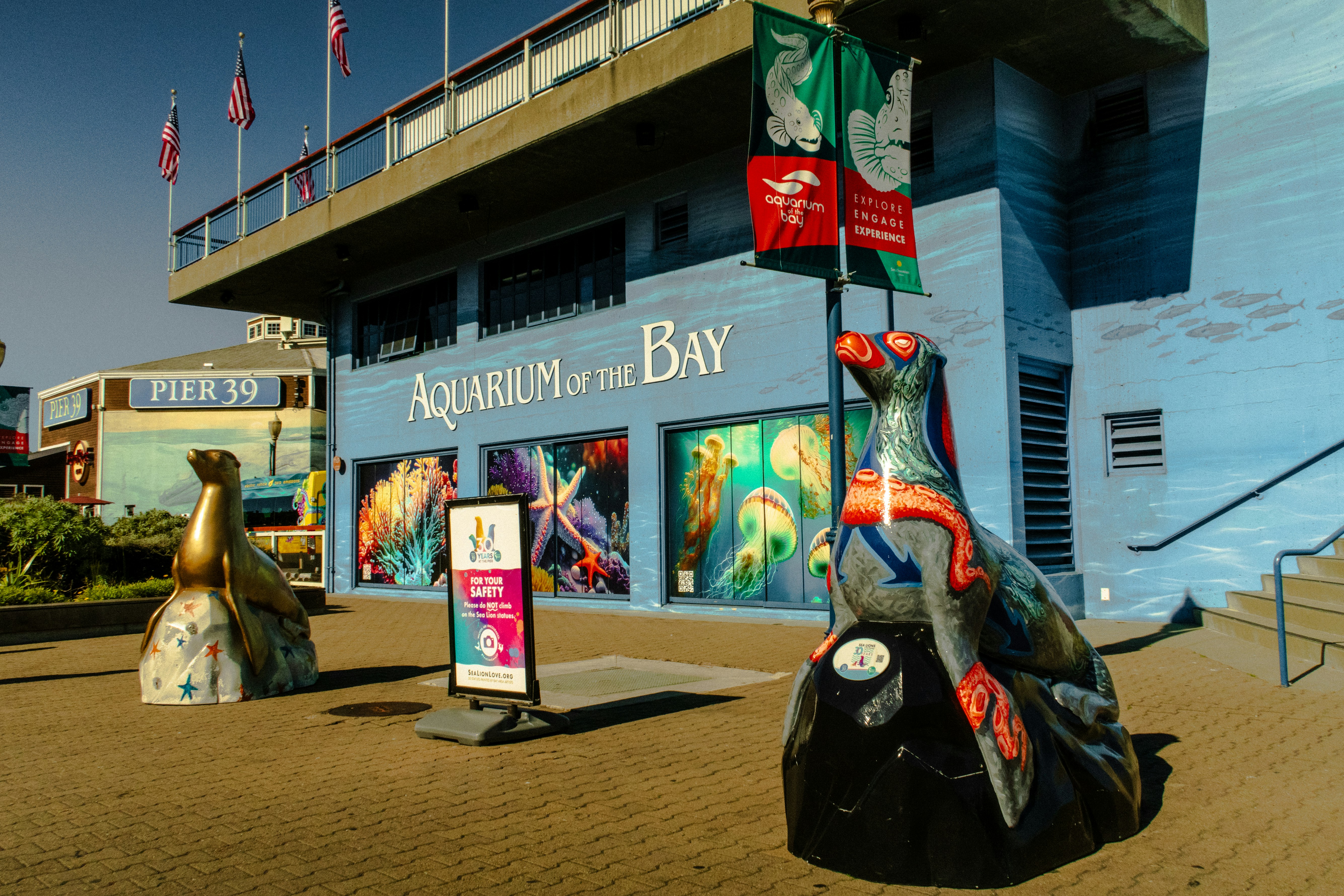 Aquarium of the Bay photo 2