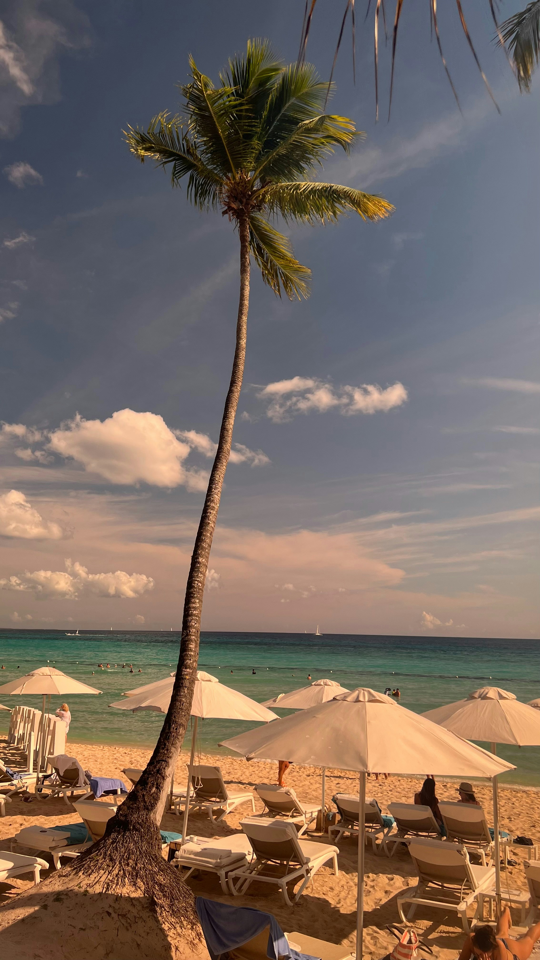 Photo by crisaracena