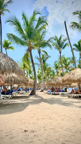 a sandy beach with palm trees and lawn chairs