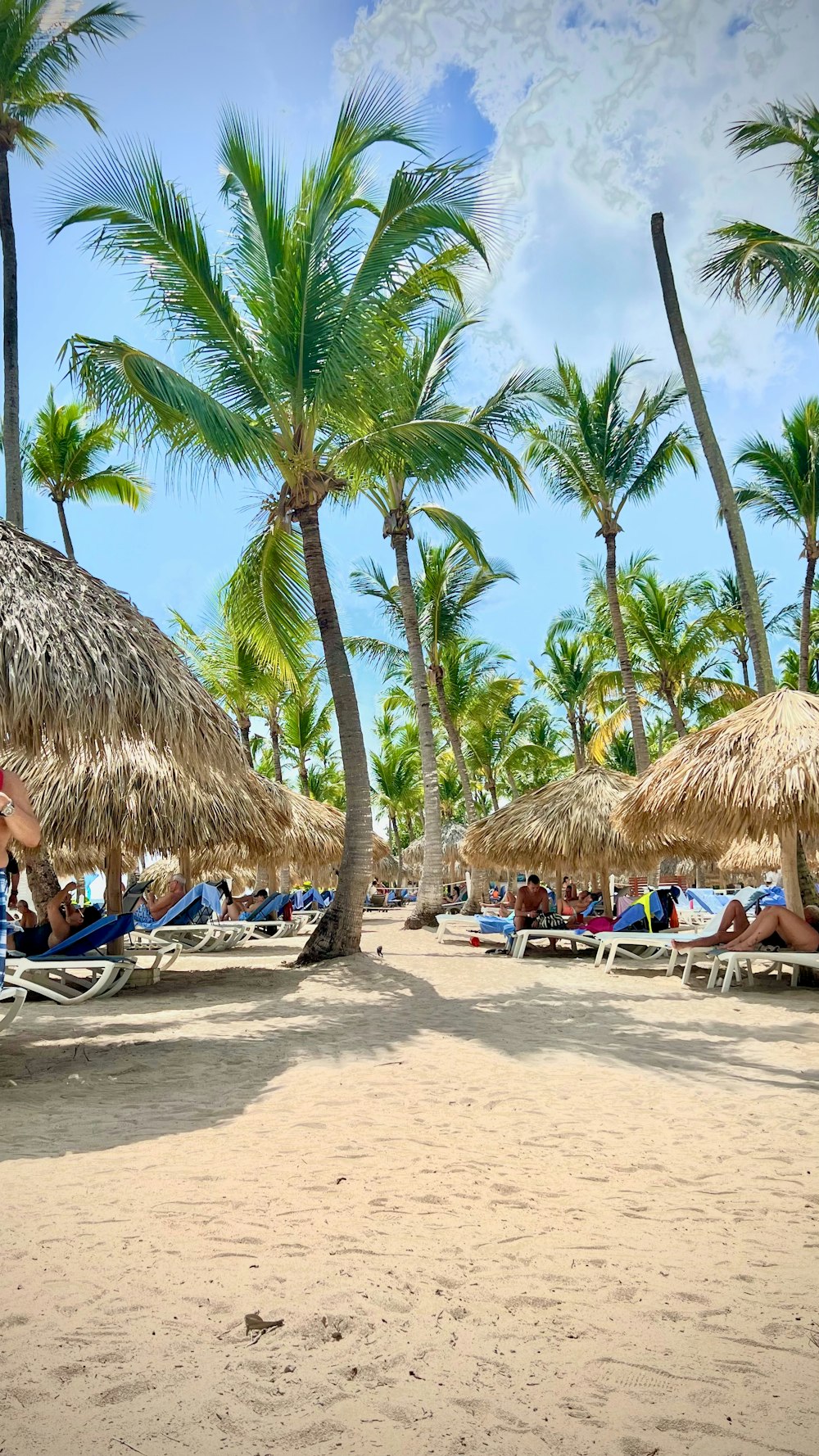 a sandy beach with palm trees and lawn chairs