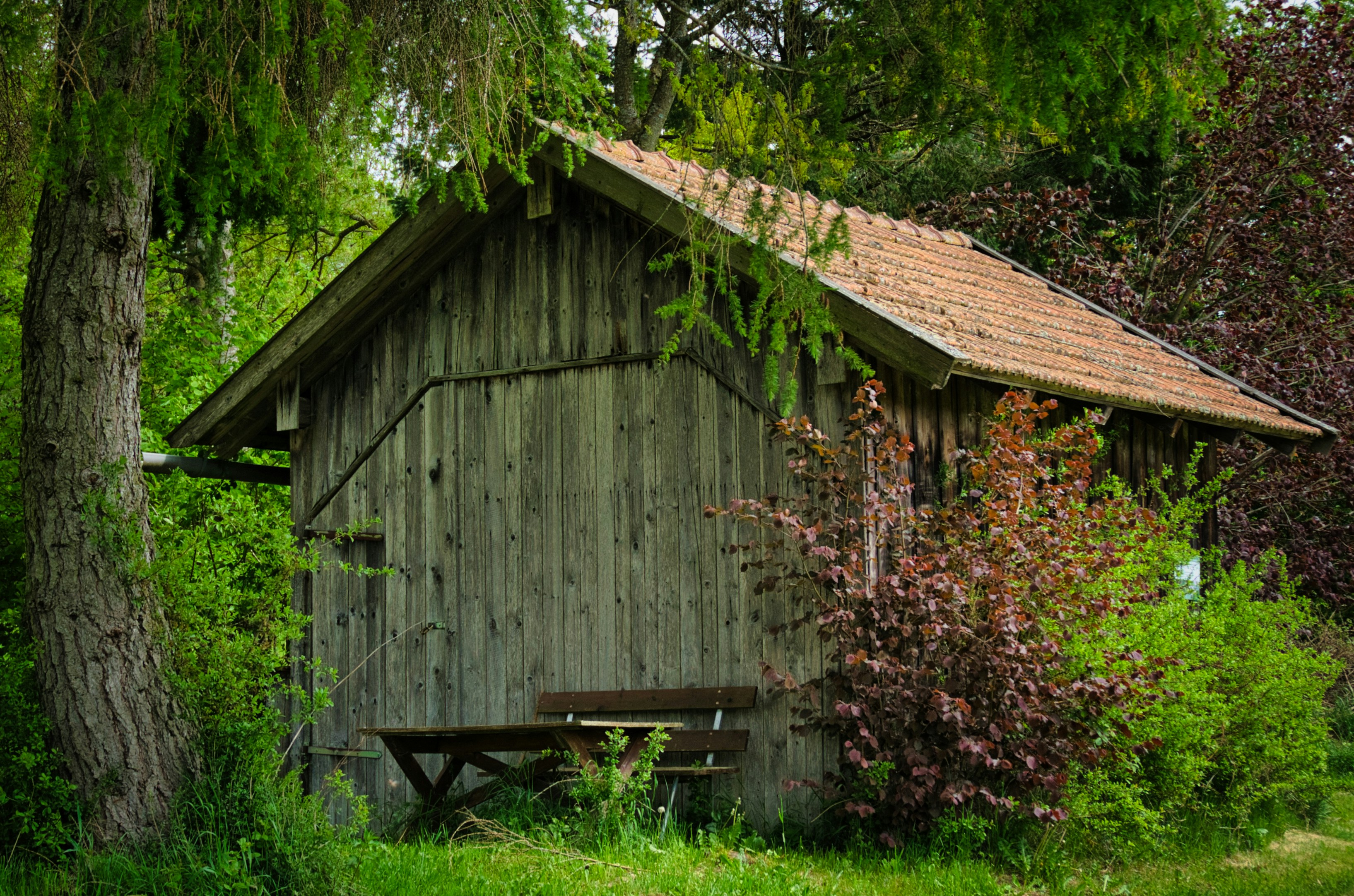 Photo by spessartmounty