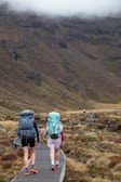 a couple of people that are walking down a path
